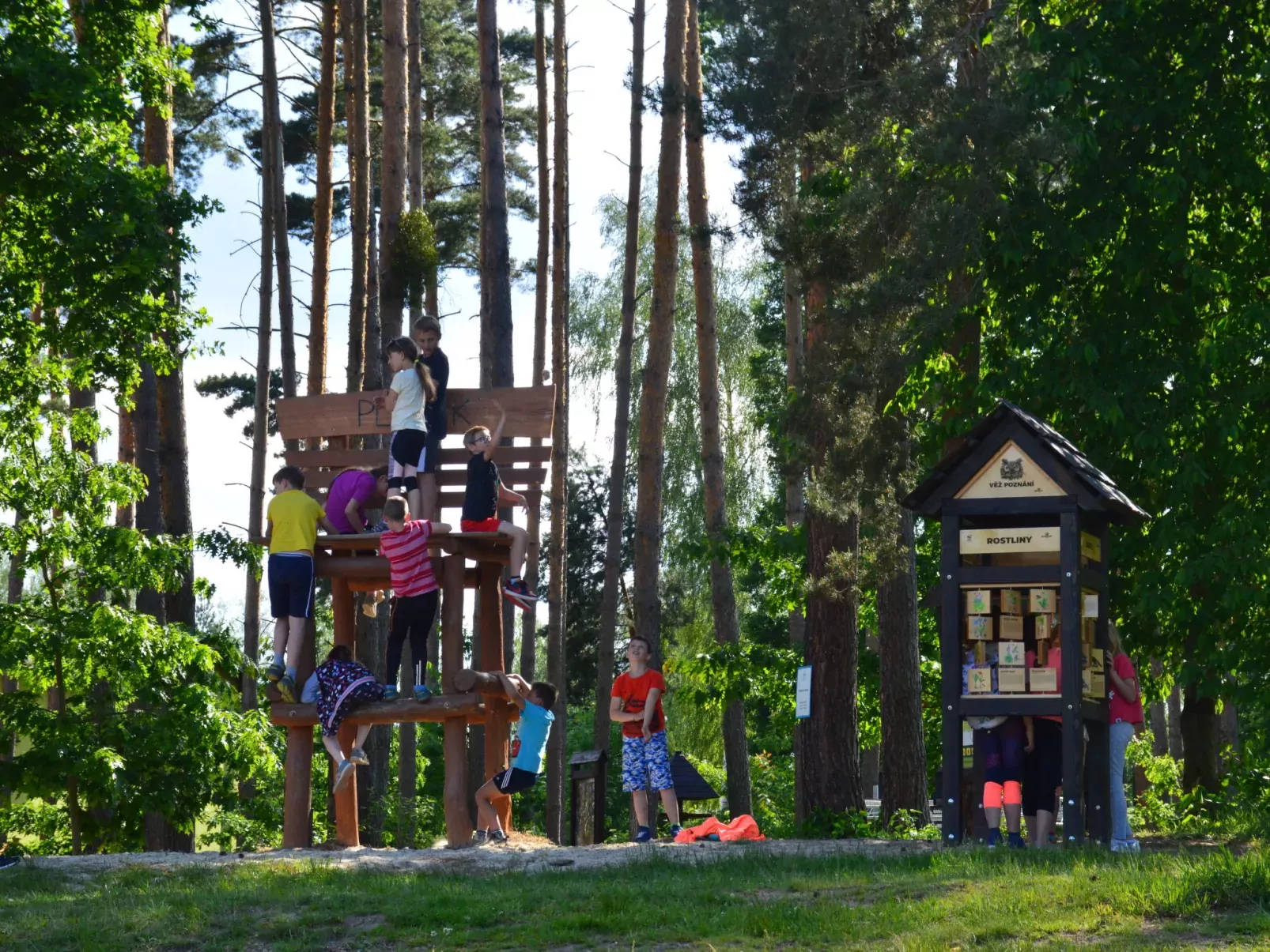Treehouse 2-Outside