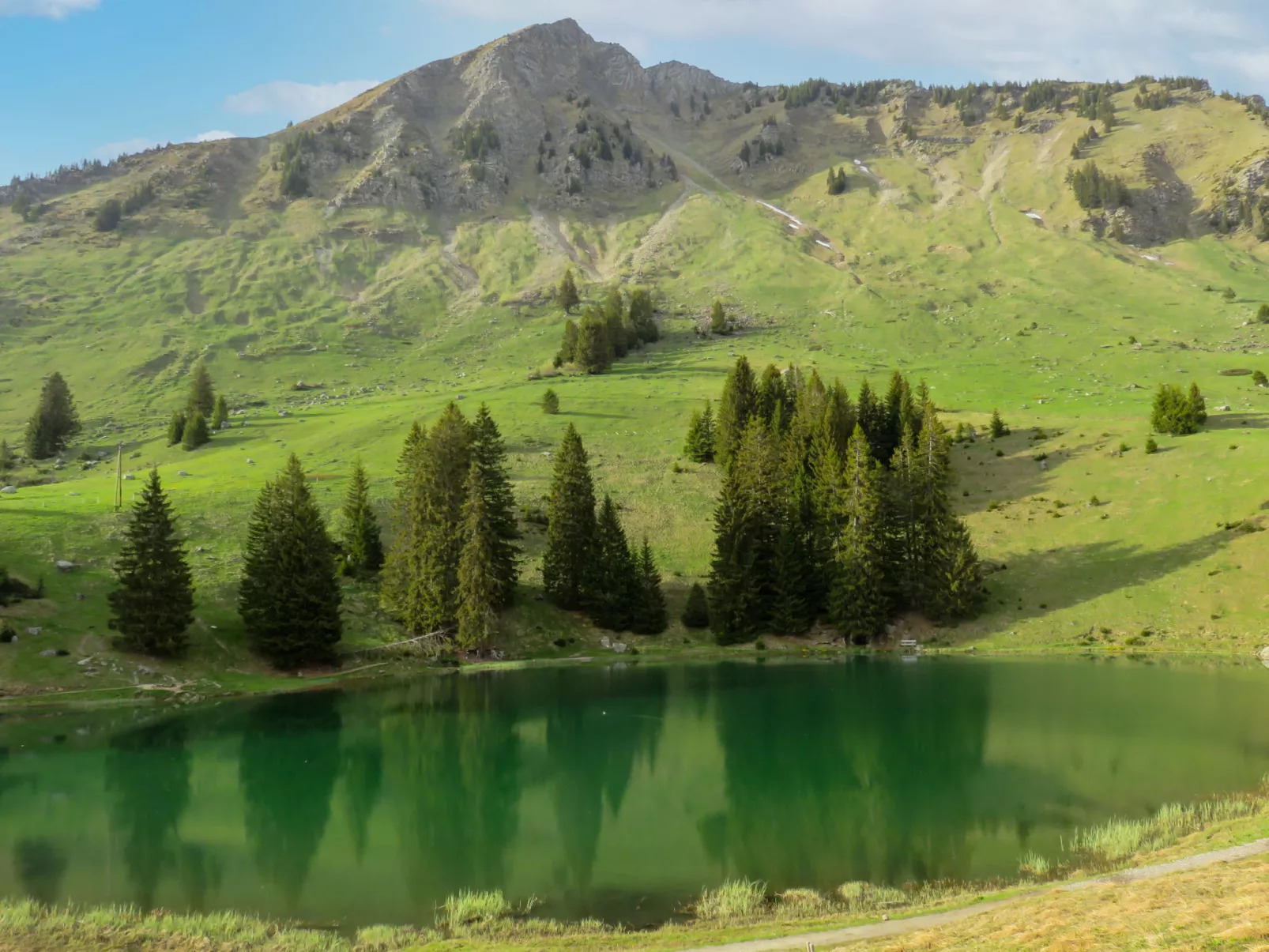 Chalet Tiptop-Umgebung