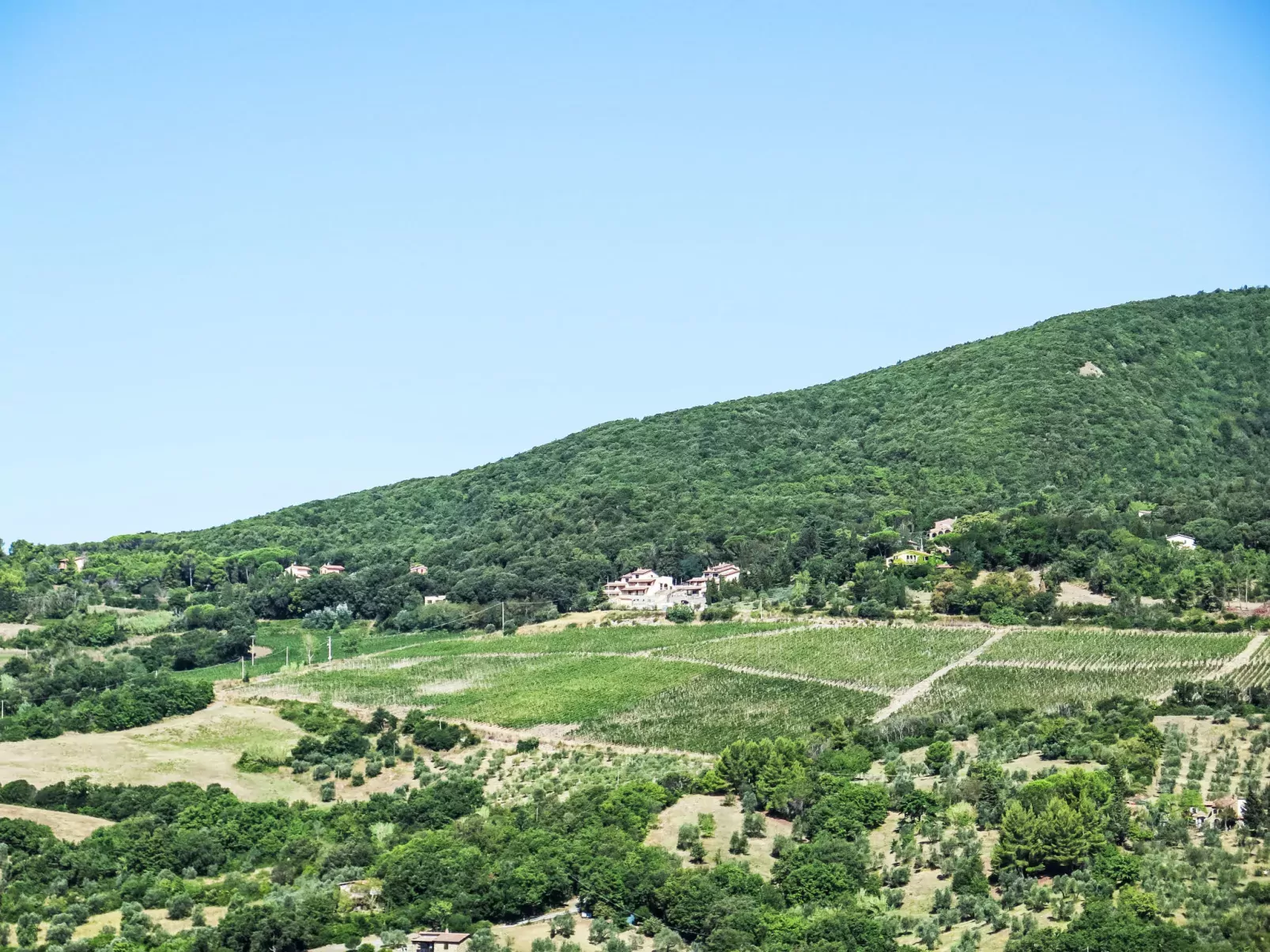 La Casina di Riccardo-Outside