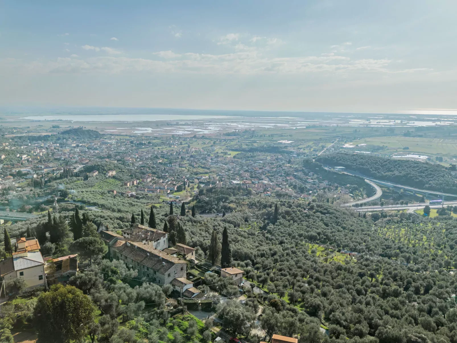 Villa Pardini-Area
