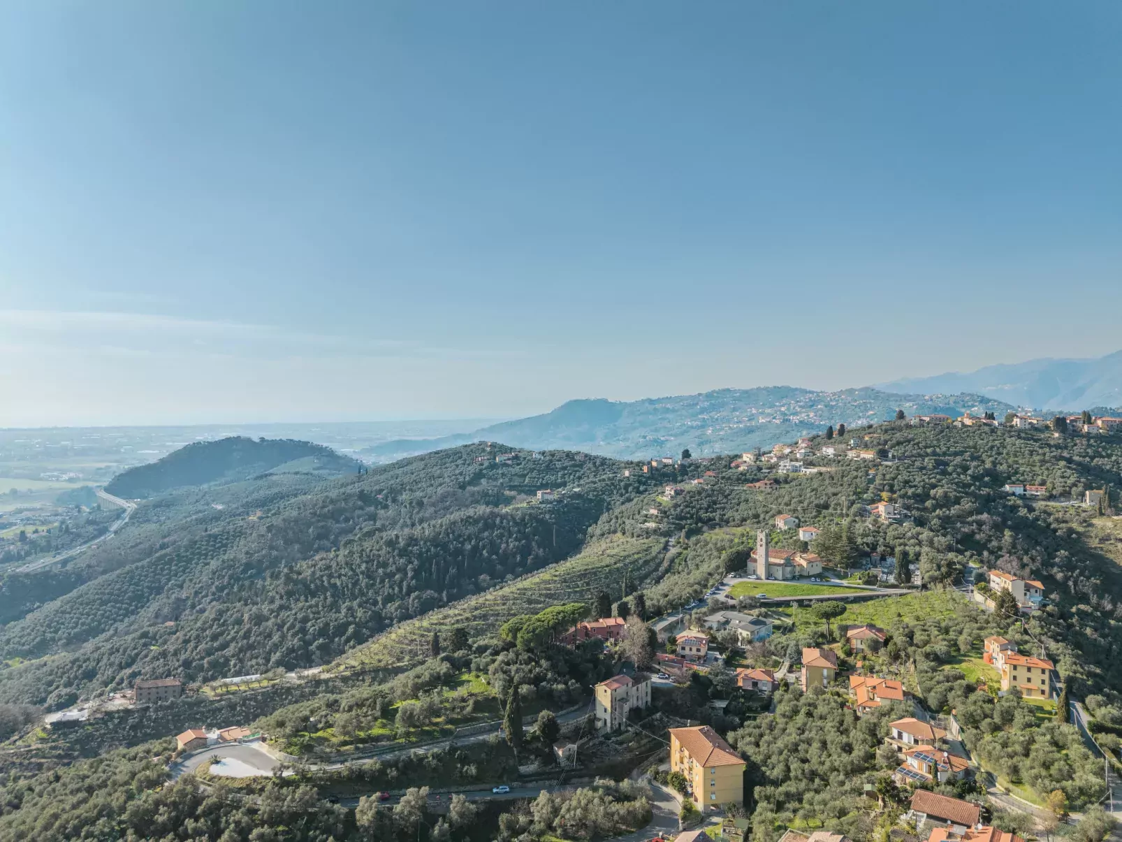Villa Pardini-Area