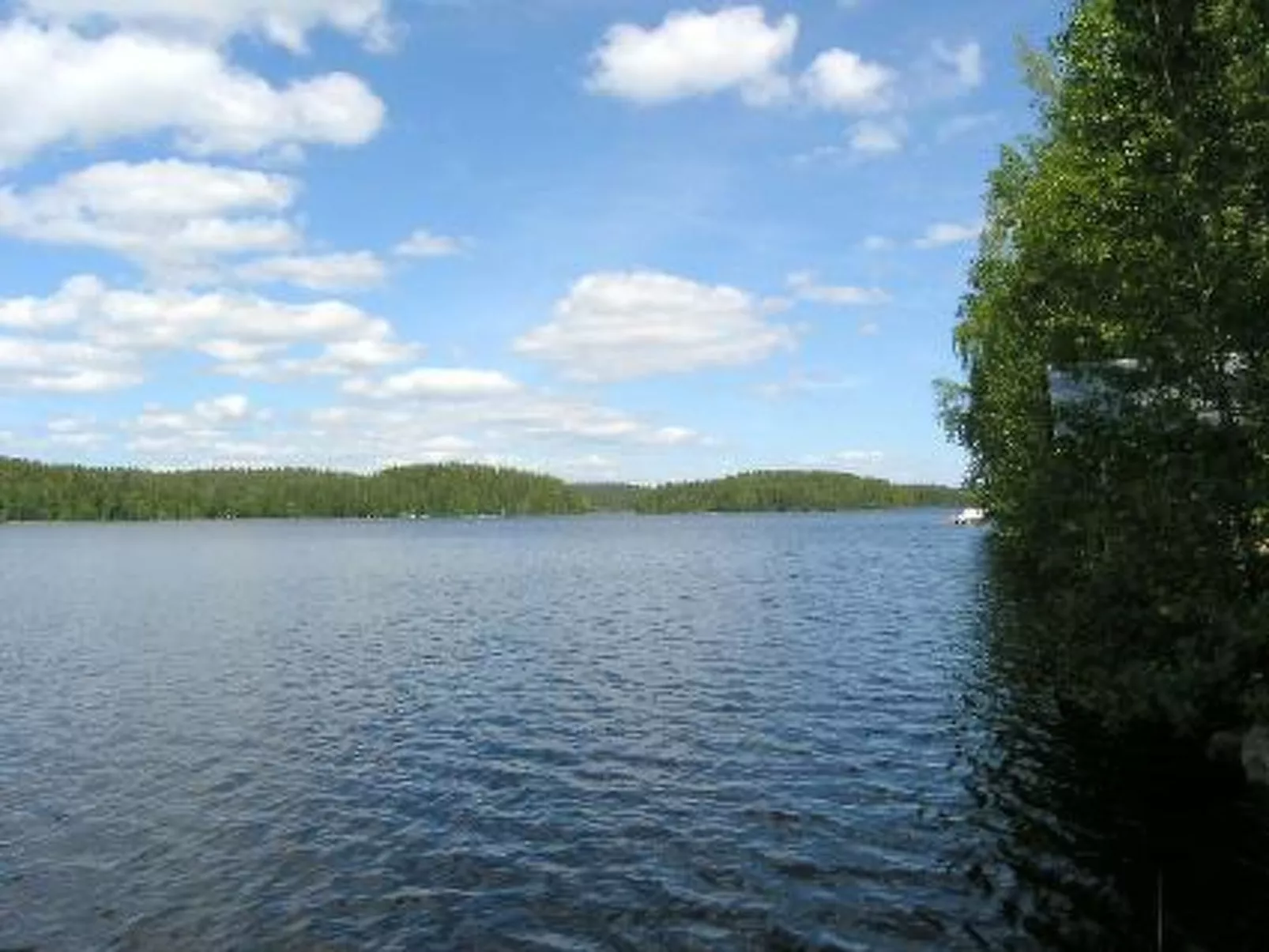 Lomakuikka