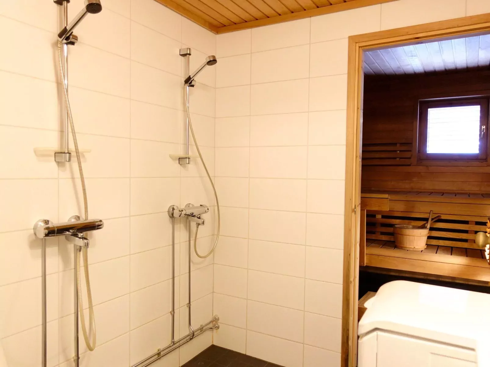 Sallanhelmi a2-Inside