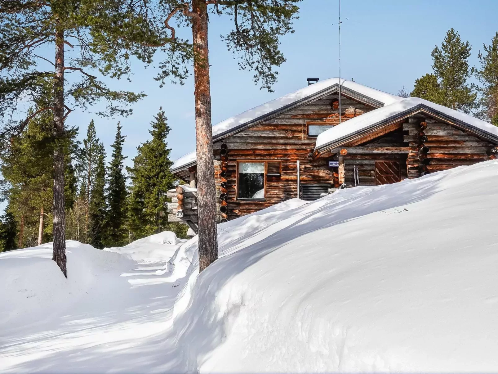 Sallanhelmi a2-Outside