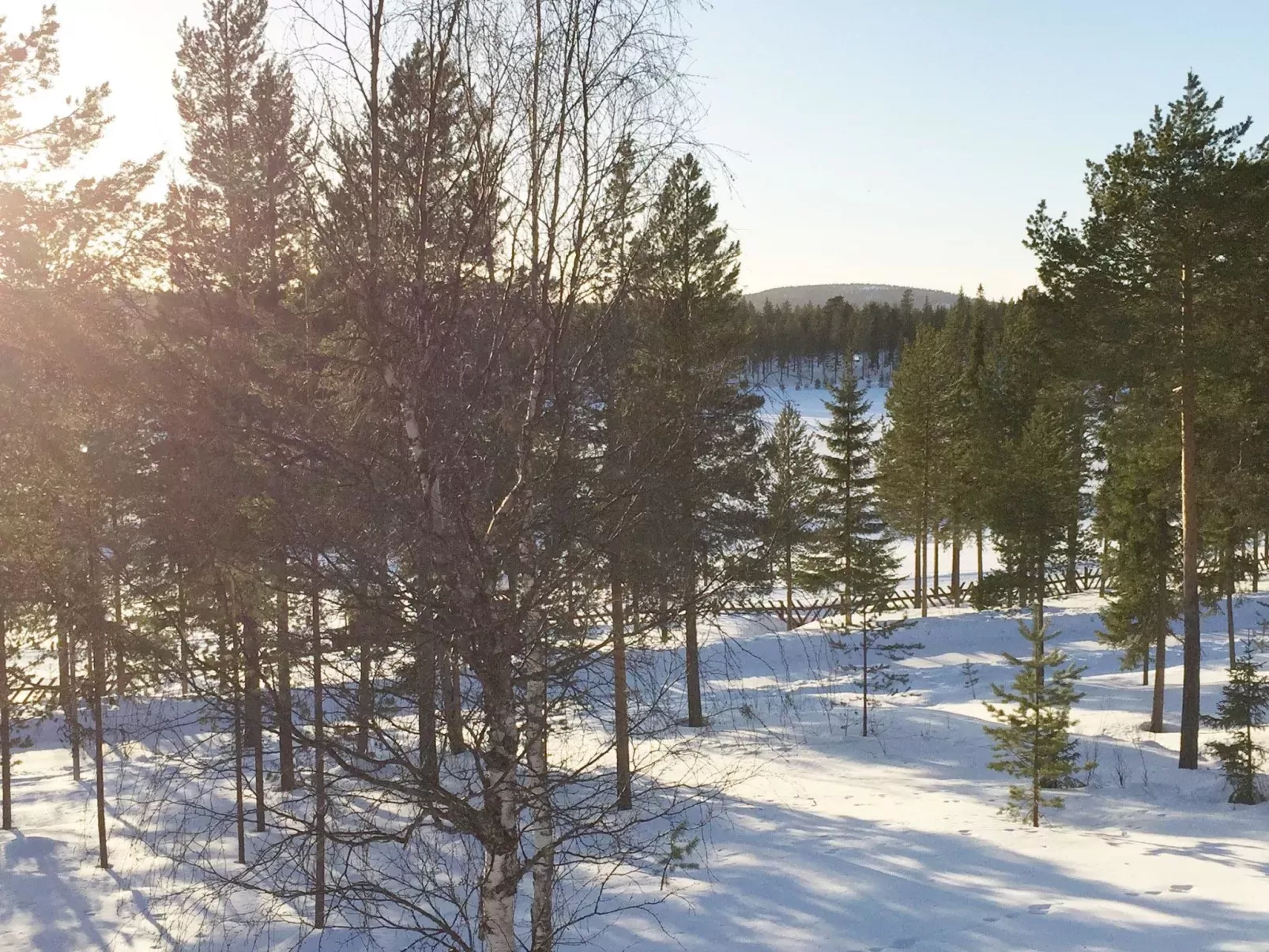 Sallanhelmi a2-Outside
