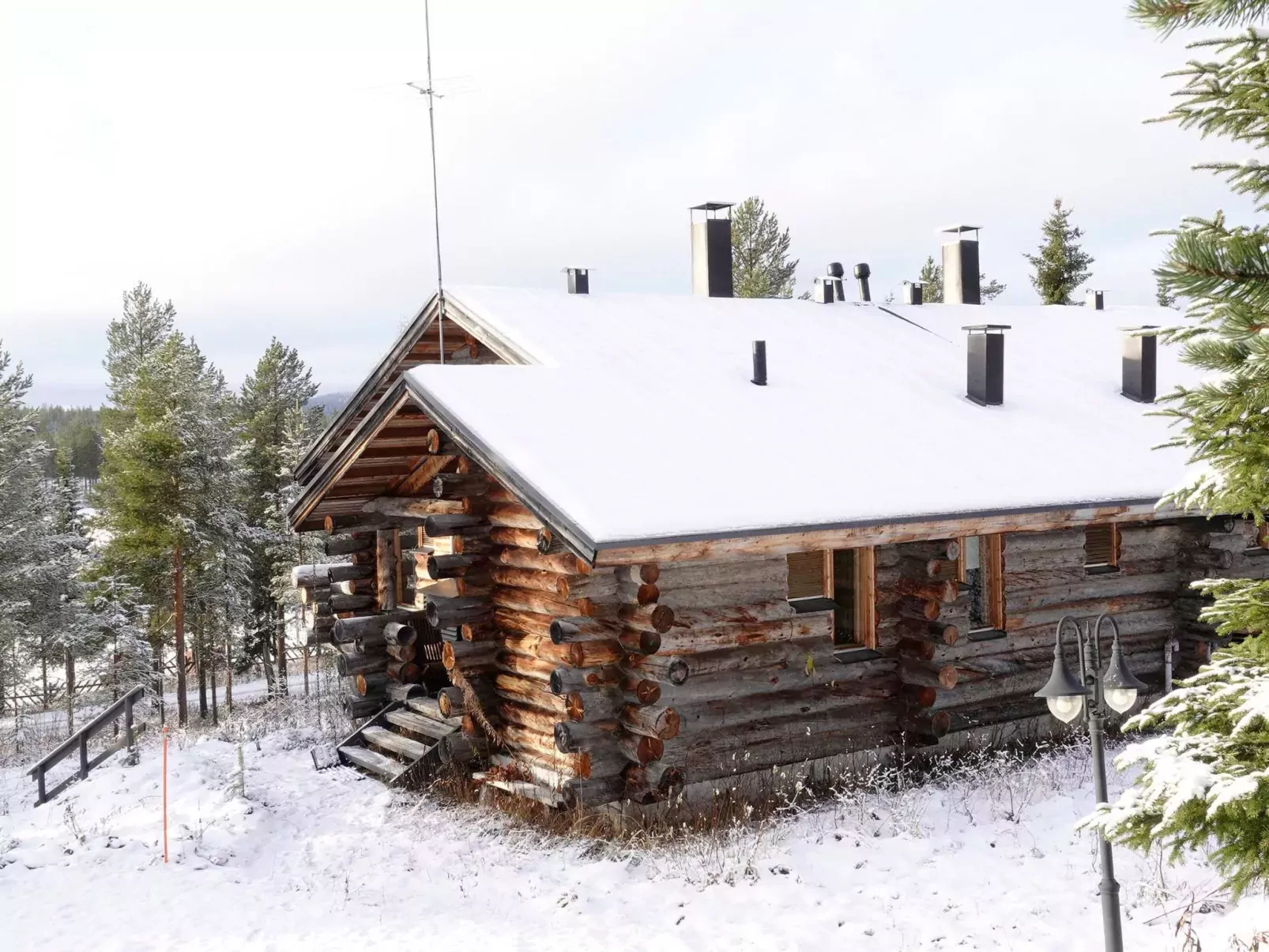 Sallanhelmi a2-Outside