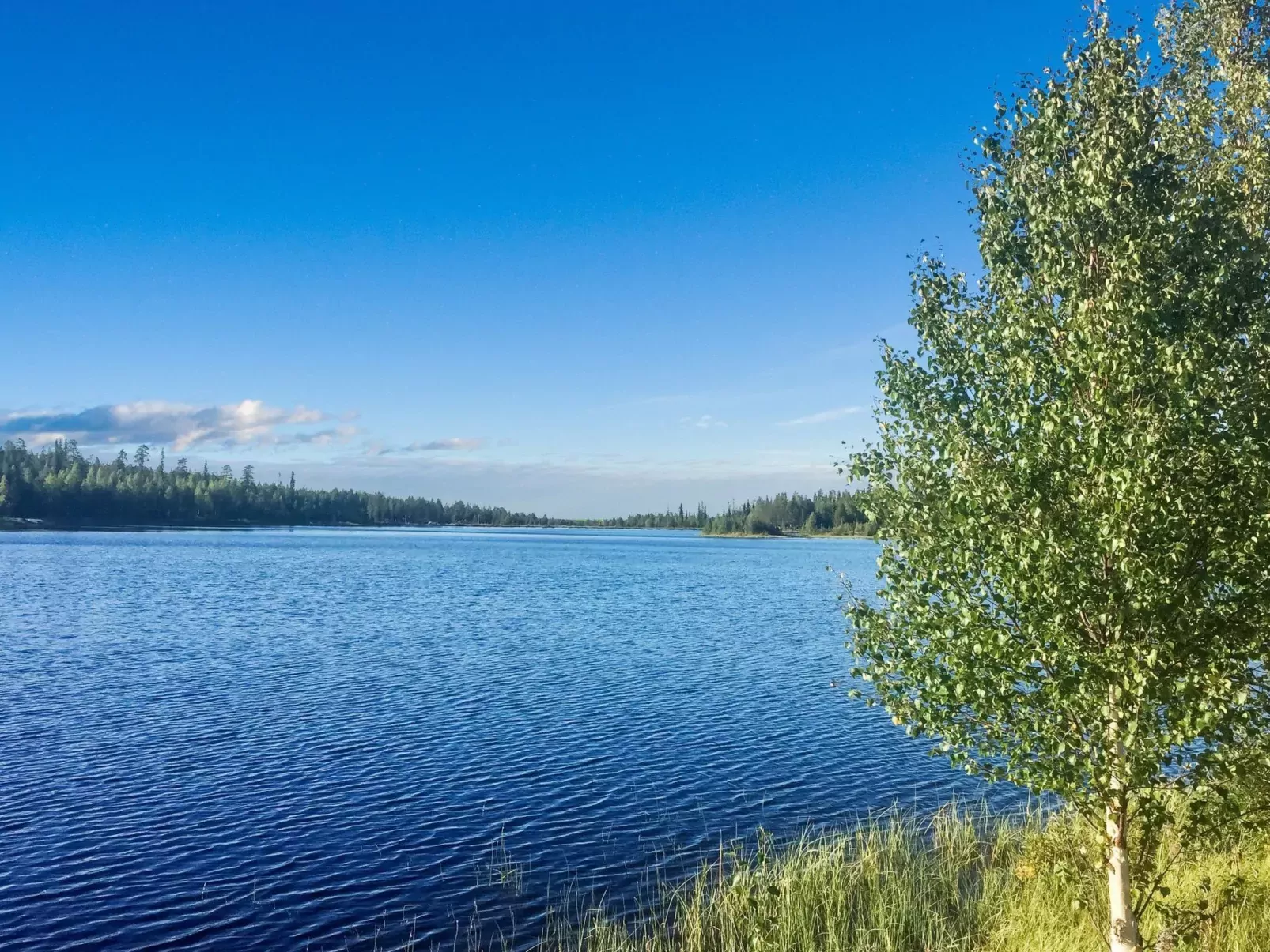 Sallanhelmi a2-Outside