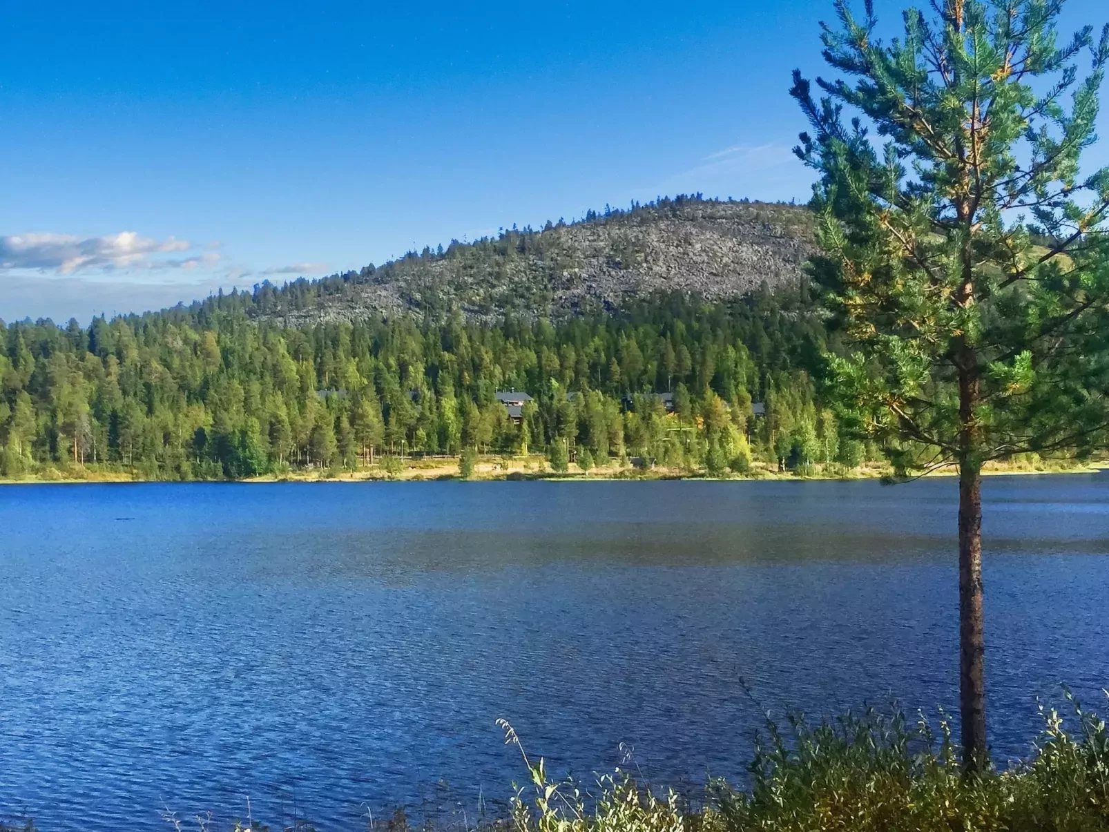 Sallanhelmi a2-Outside