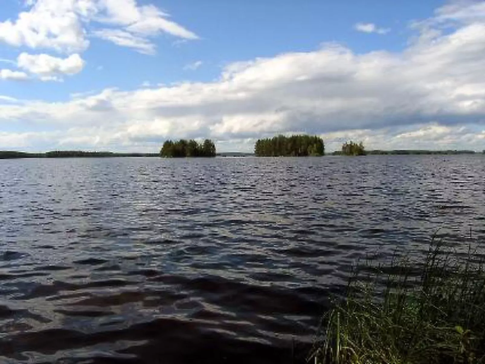 Puolukka-Drinnen