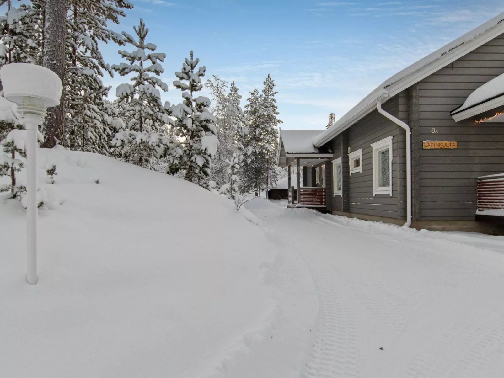 Päivänsäde 8 lapinkulta