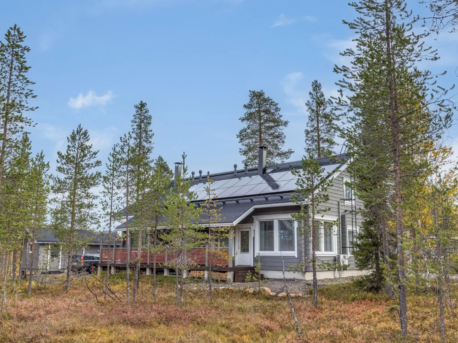 Päivänsäde 8 lapinkulta