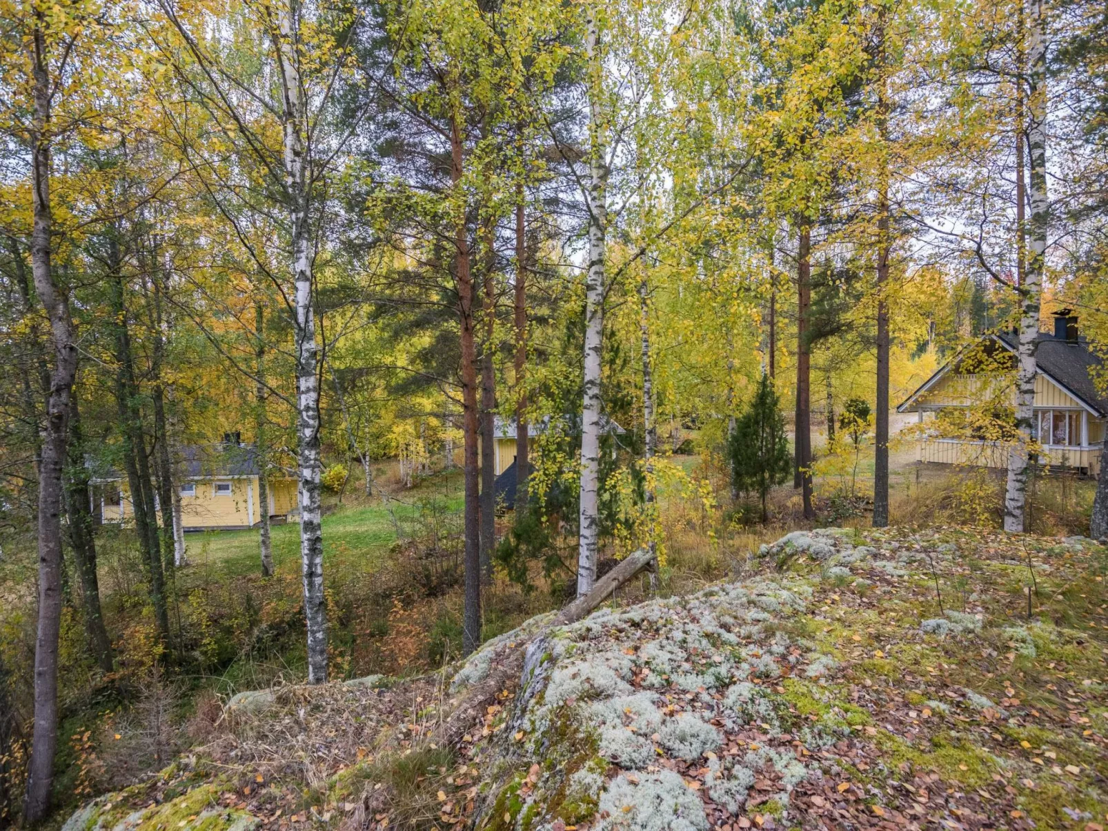 Orava-apaja-Dehors