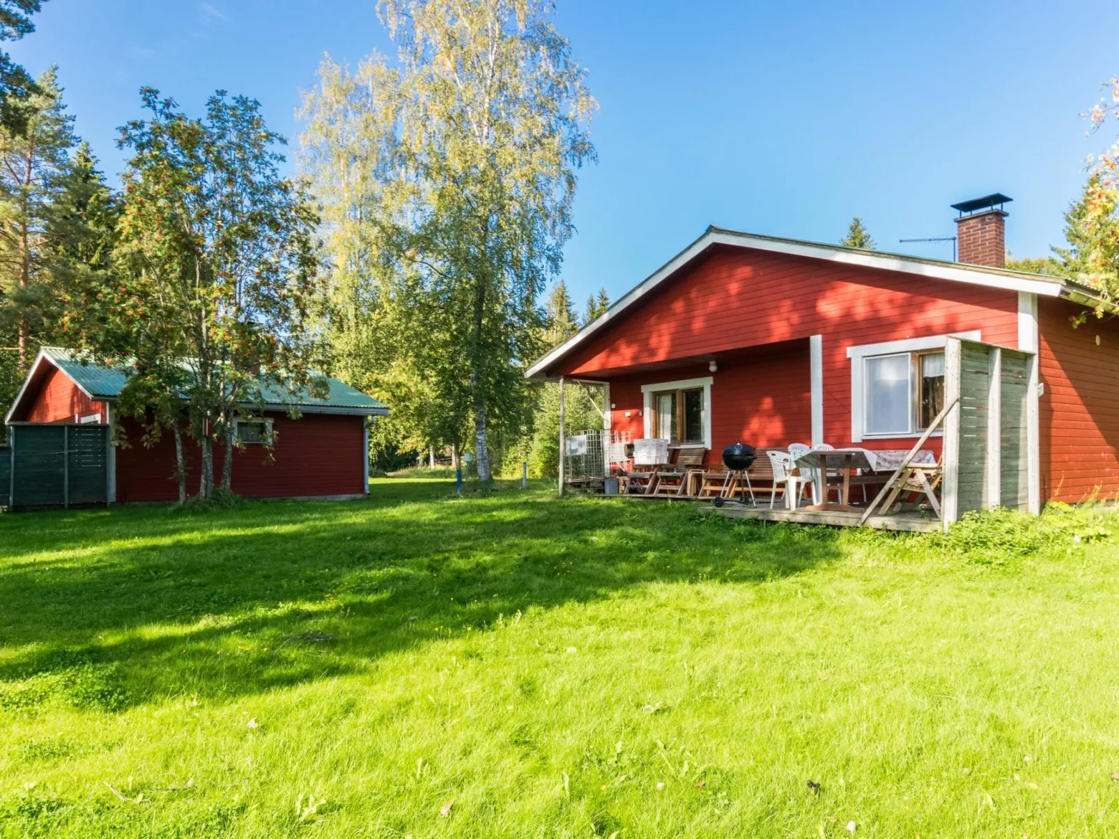 Saniainen 5-Outside