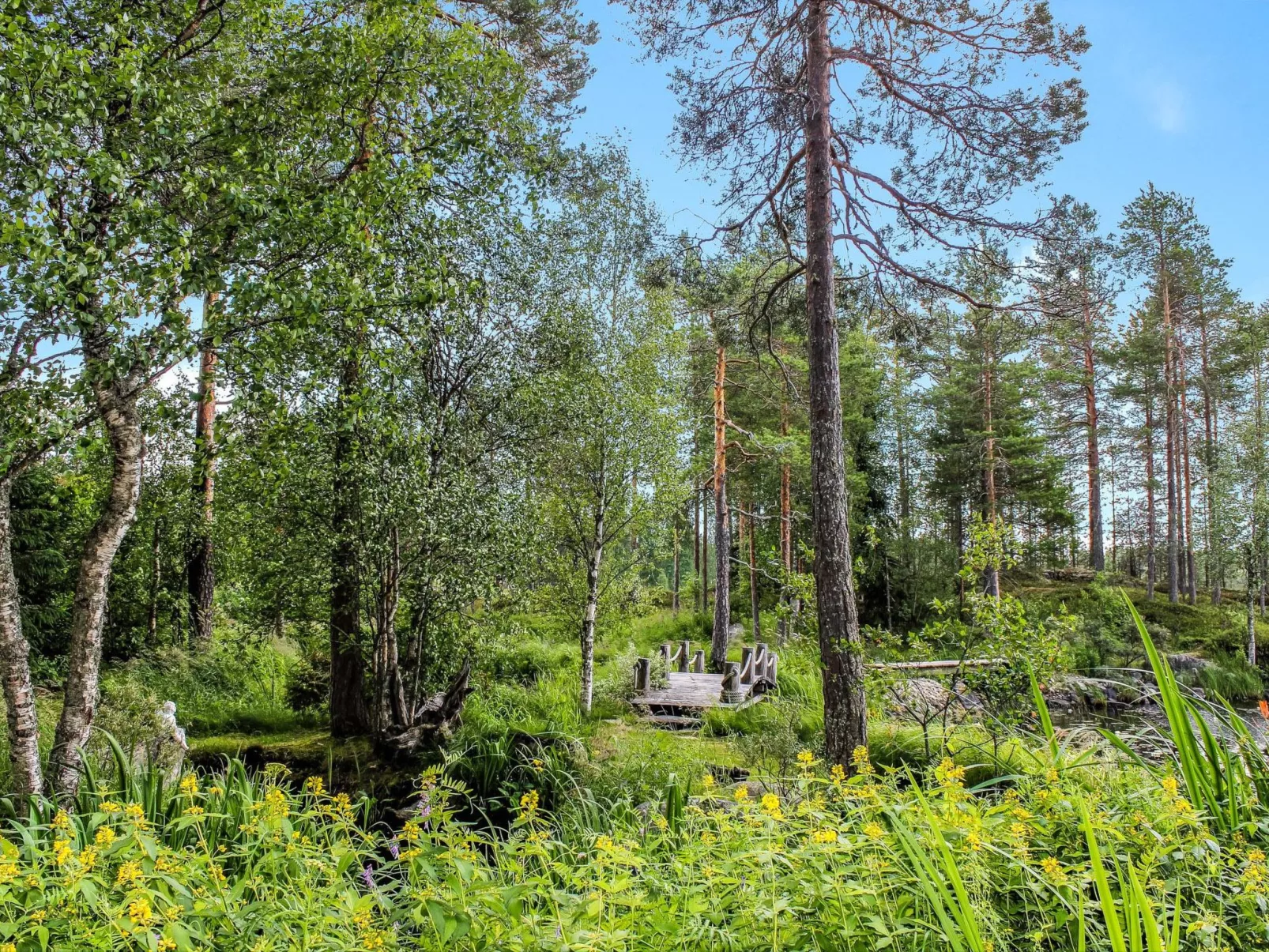 Hamppulahti-Outside