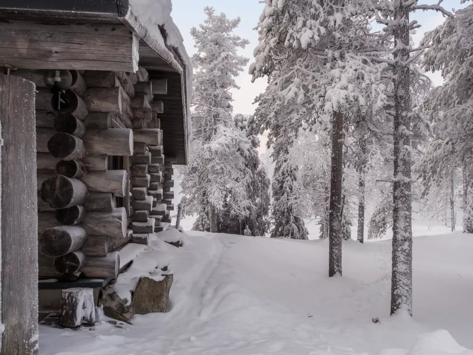 Rukakämmekkä-Outside