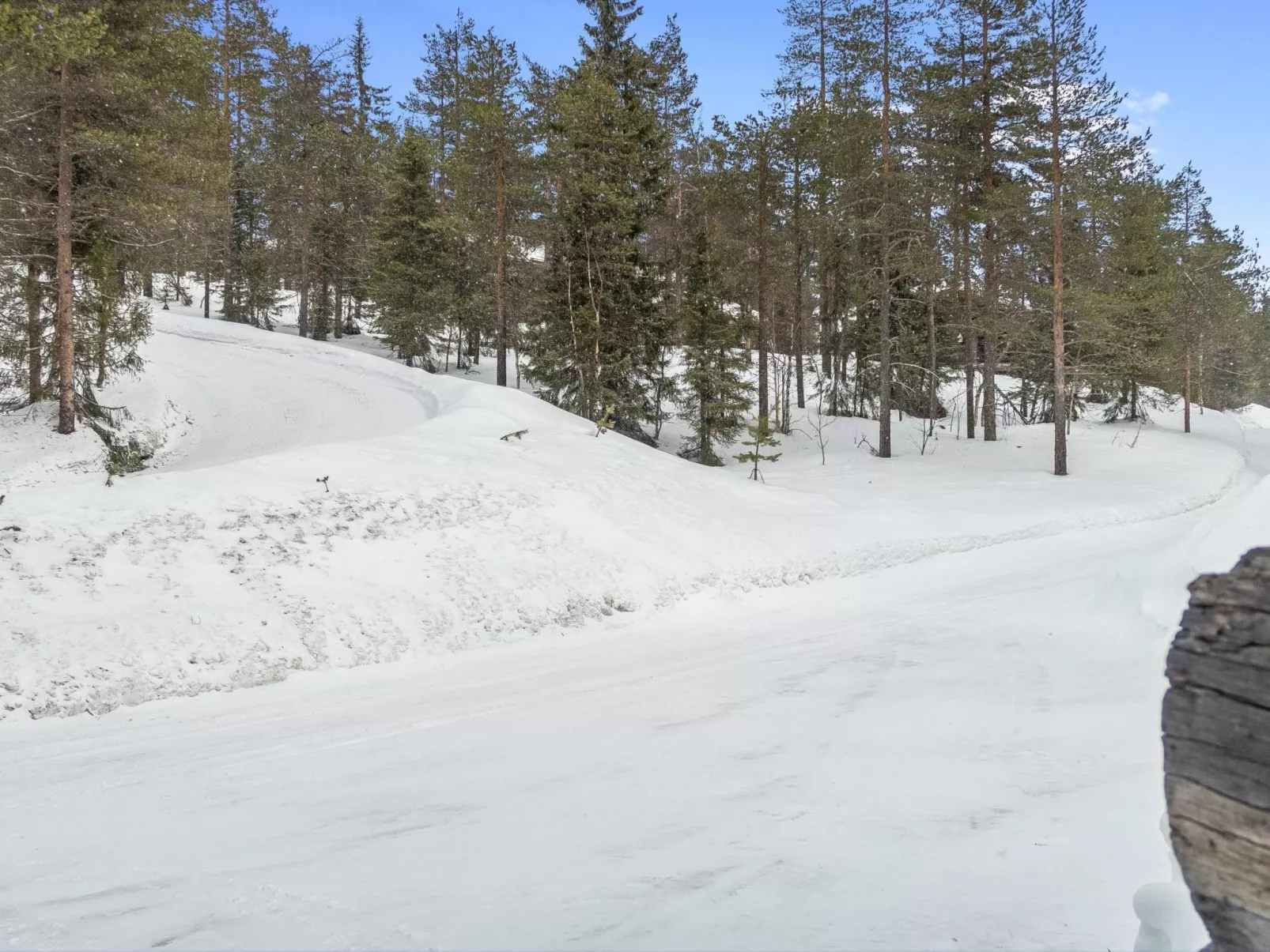 Rukakämmekkä-Outside