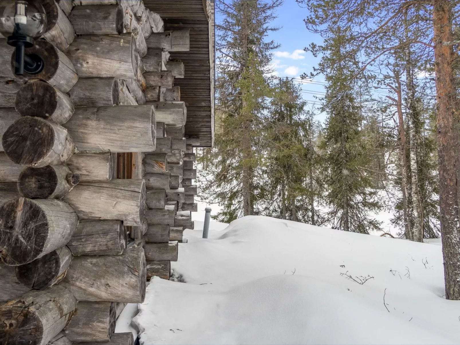 Rukakämmekkä-Outside