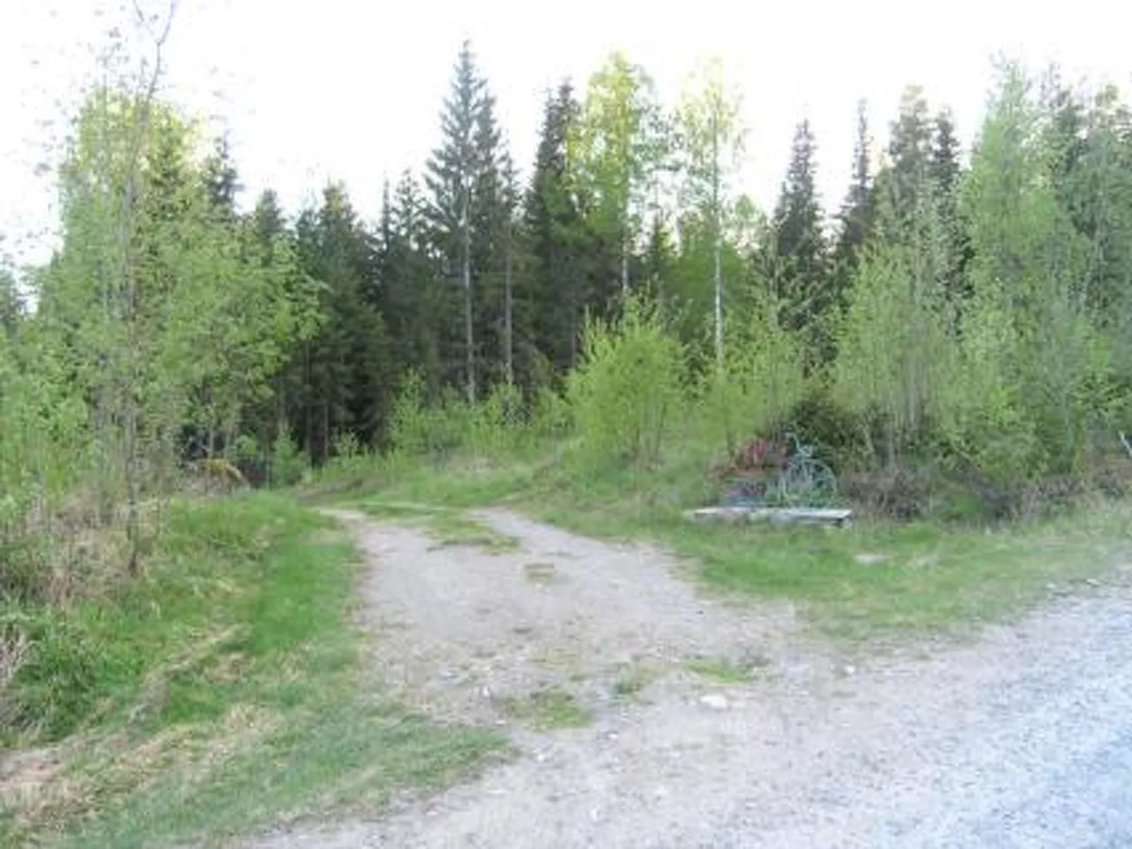 Pitkälahti-Inside
