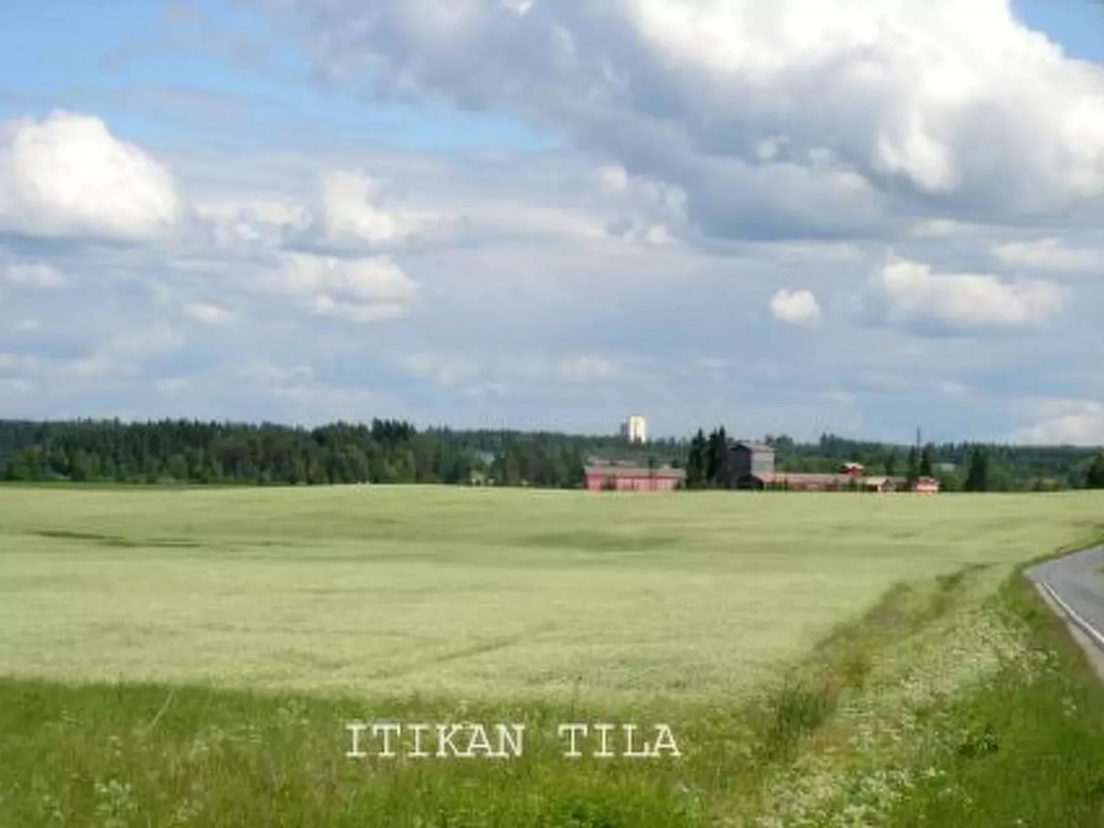 Kelo-kolo-Draußen