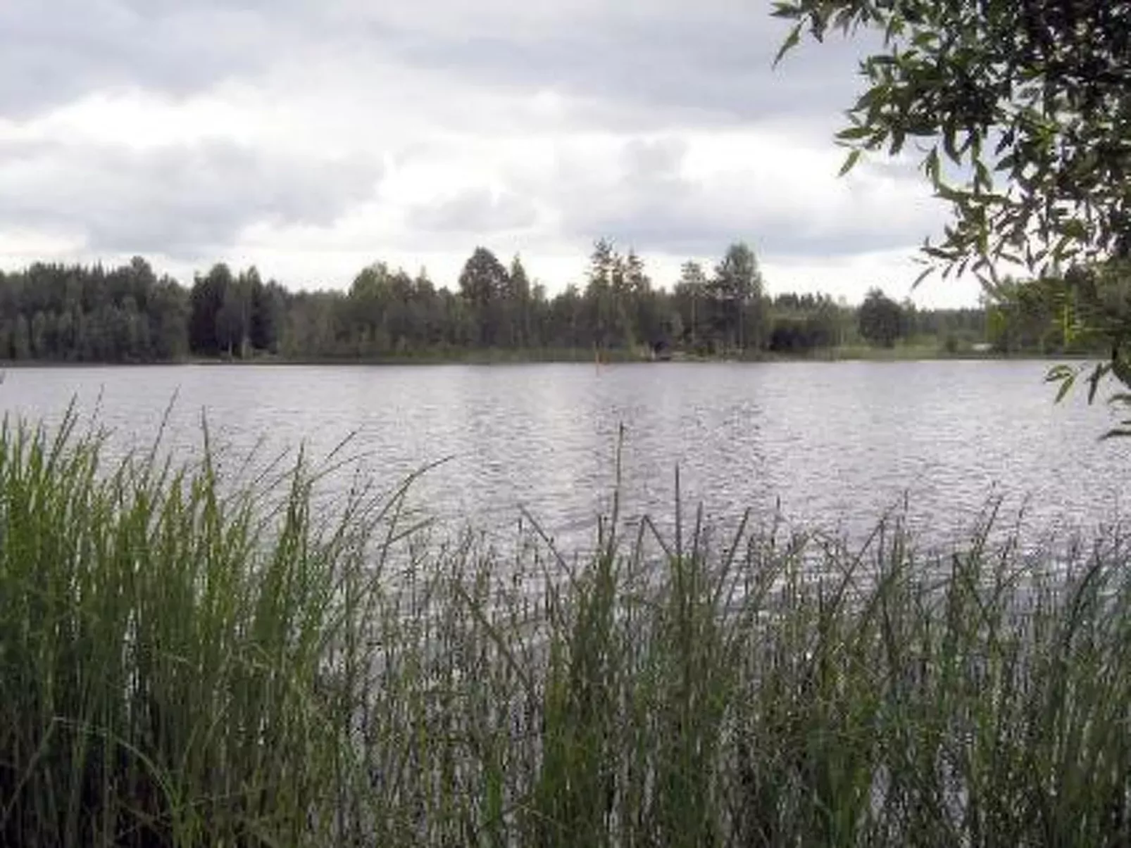 Petäjäniemi-Inside