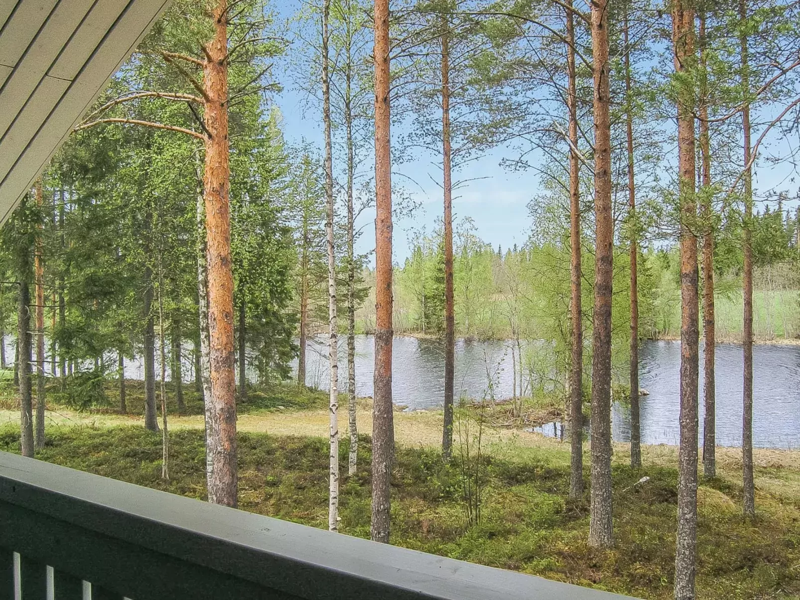 Yläneuvola niemi-Draußen