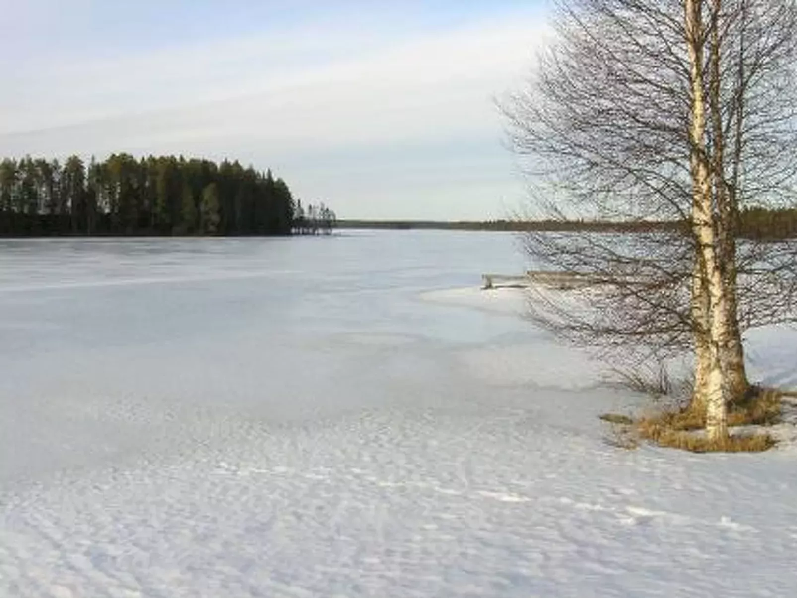 Kallela