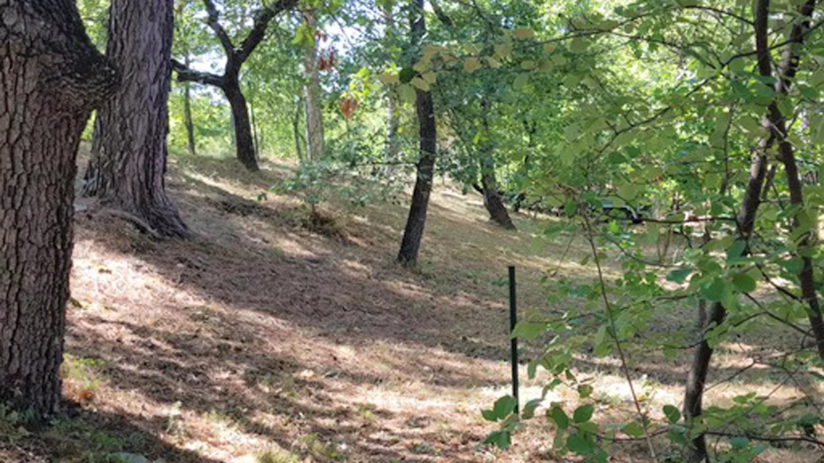 La petite Pinede-Gebiete Sommer 1 km