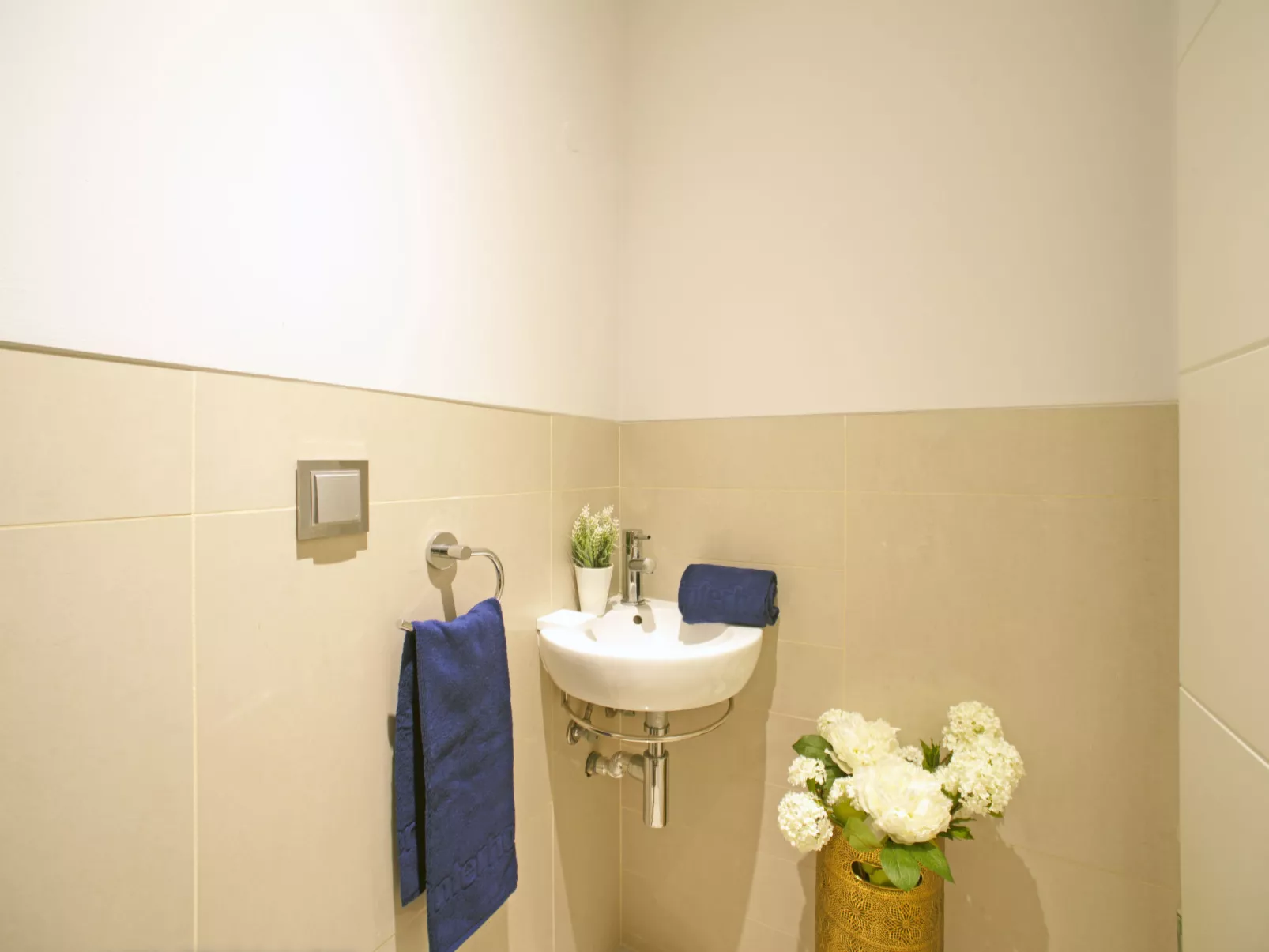 Pine Hills Ambar-Inside