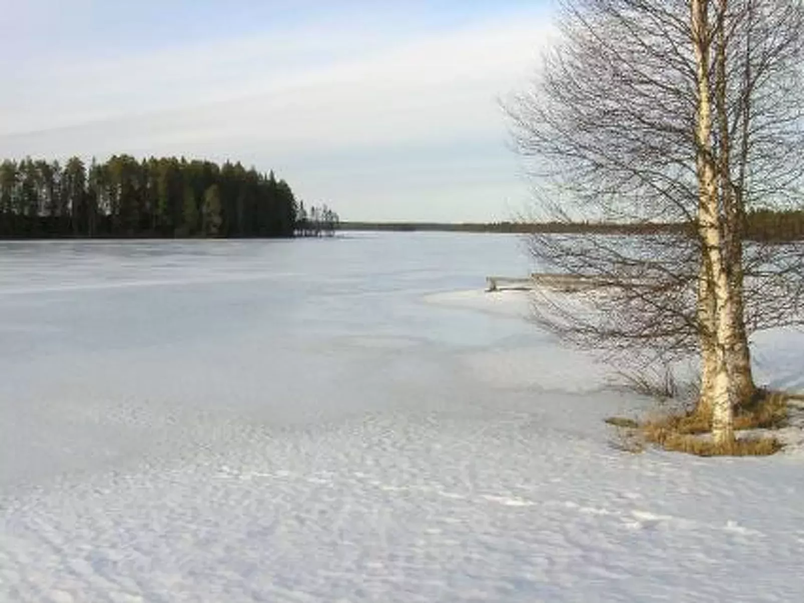 Herkkola