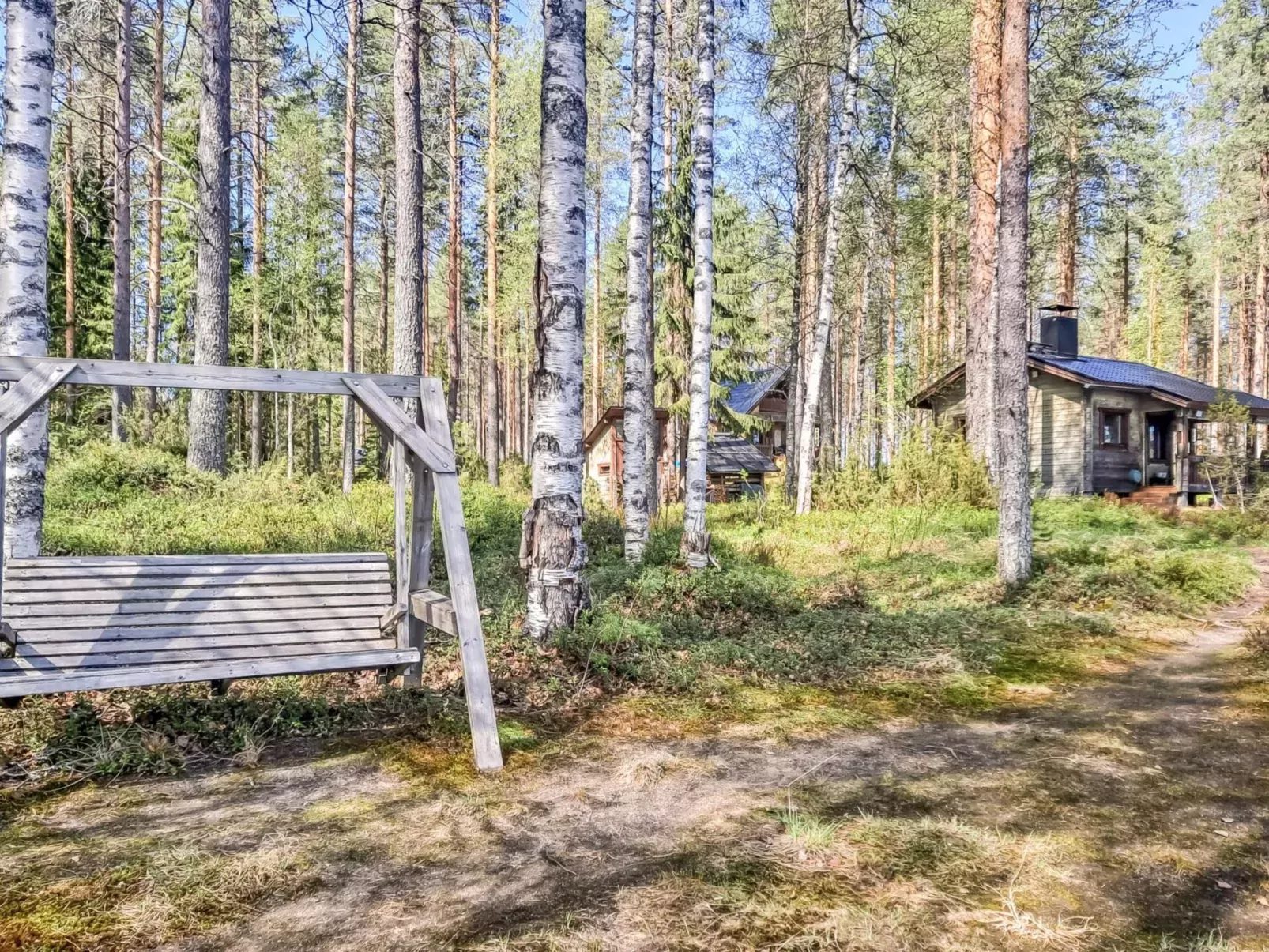 Pilkkaniemi-Dehors