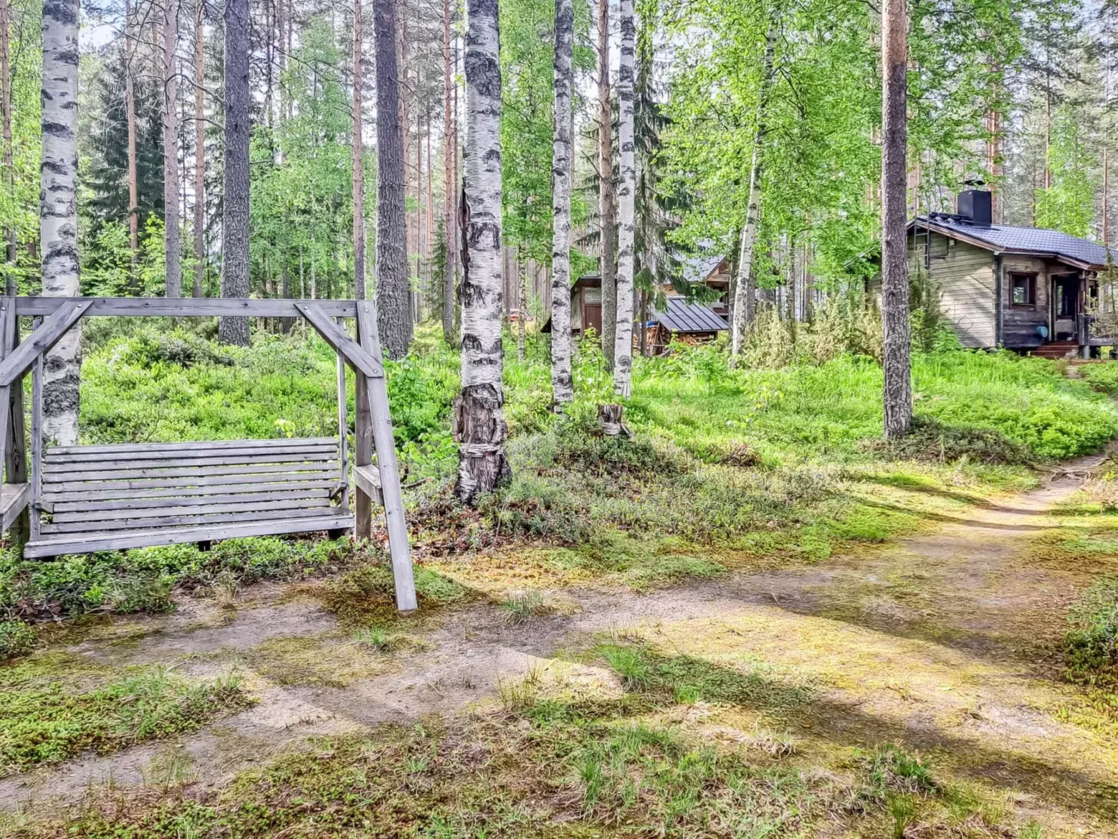 Pilkkaniemi-Dehors