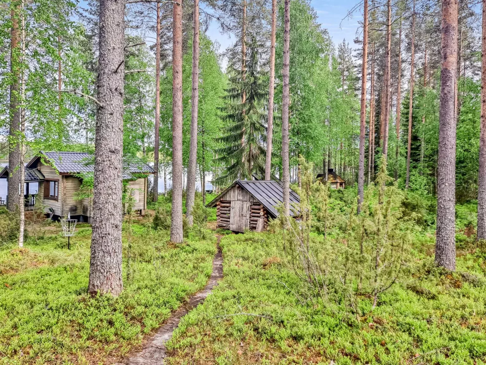 Pilkkaniemi-Dehors