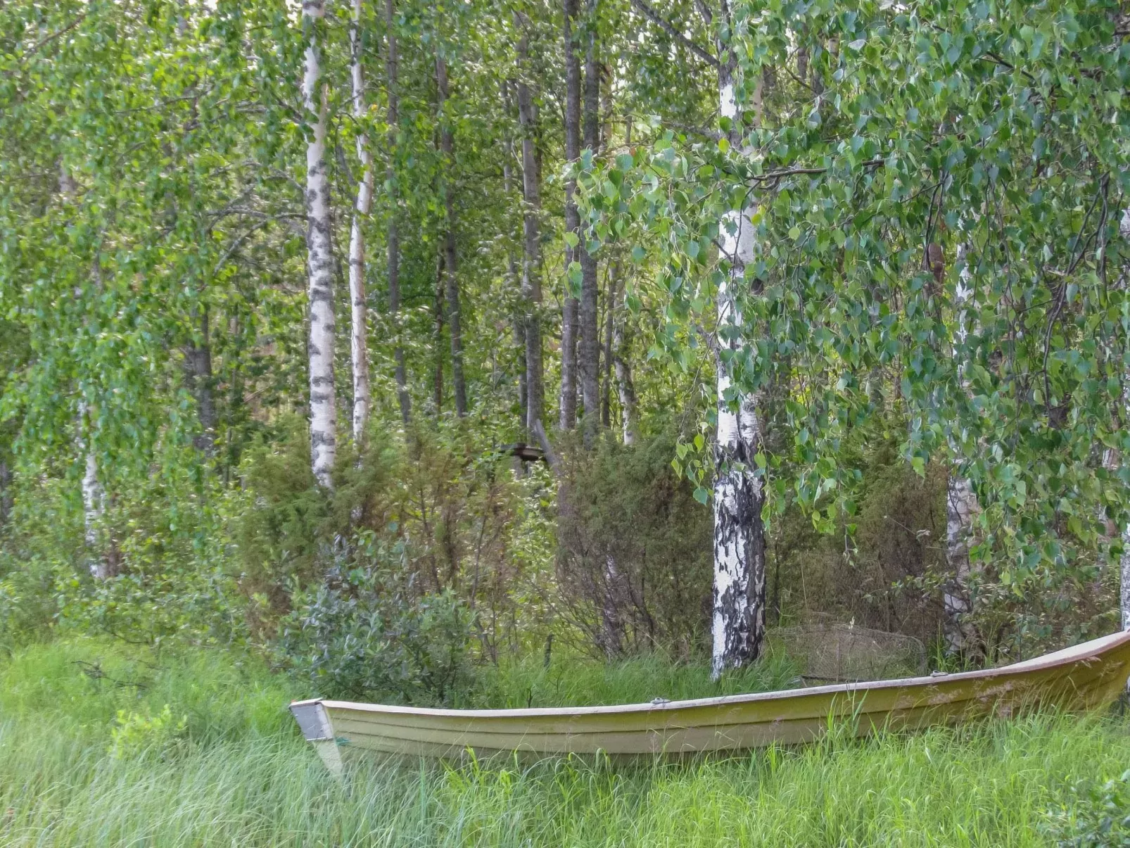 Pilkkaniemi-Dehors