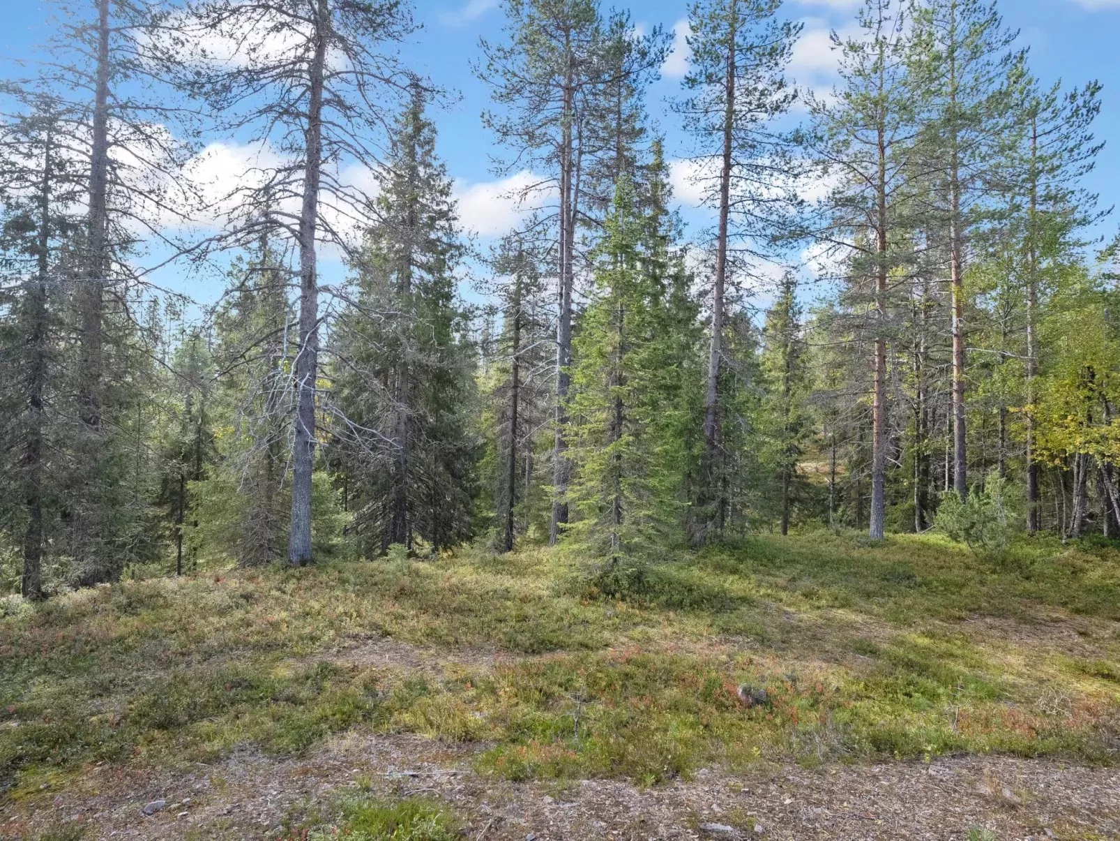 Karhunpesä-Outside