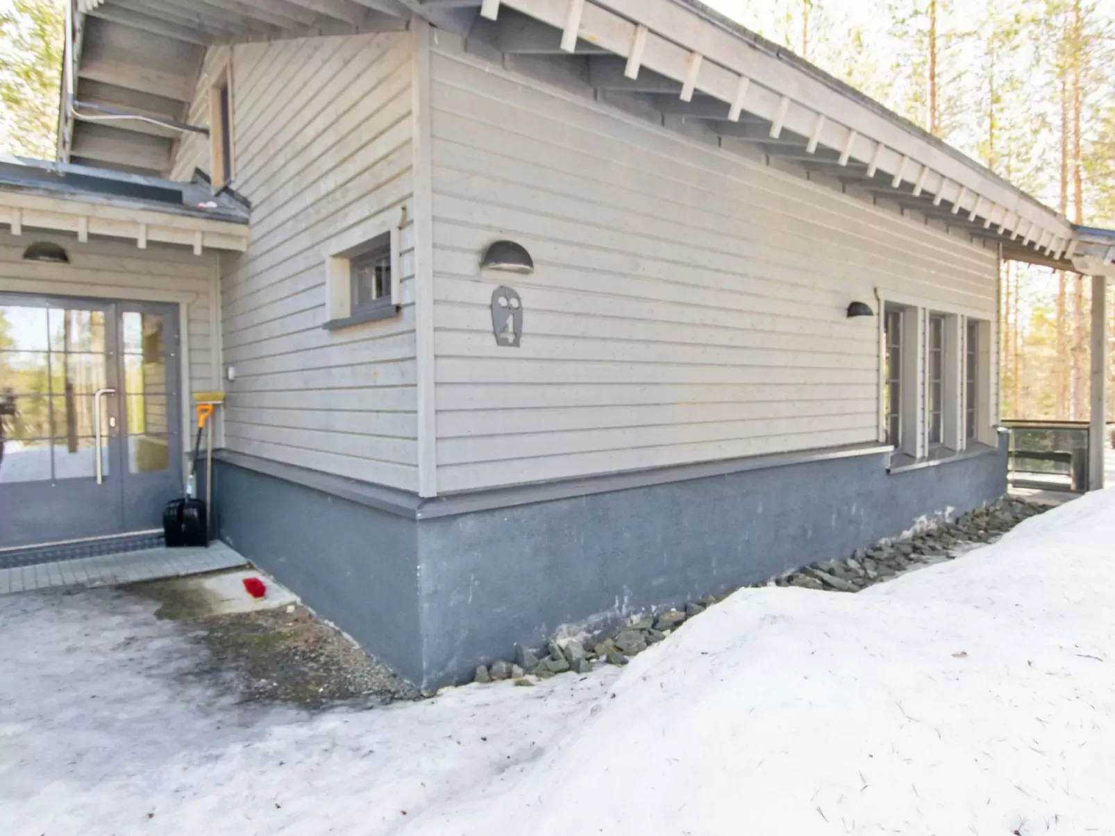 Tunturipöllö 4