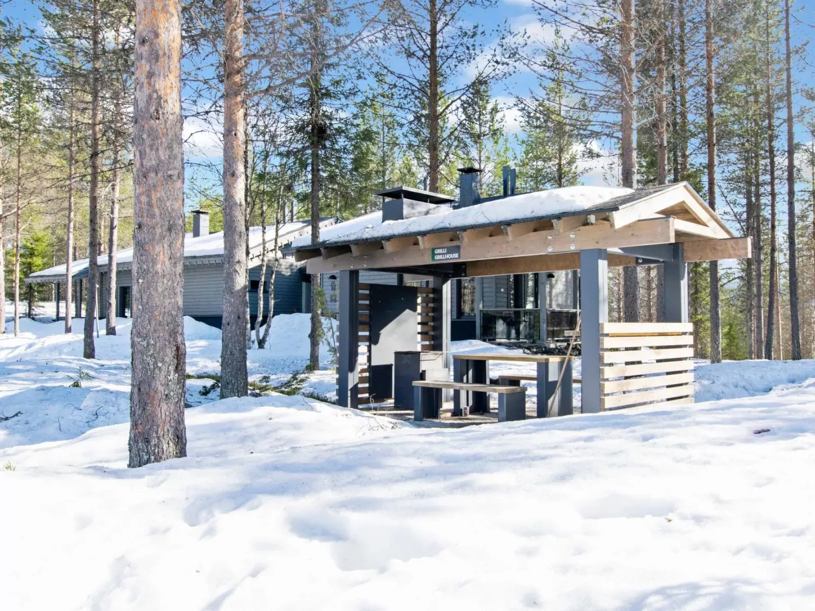 Tunturipöllö 4
