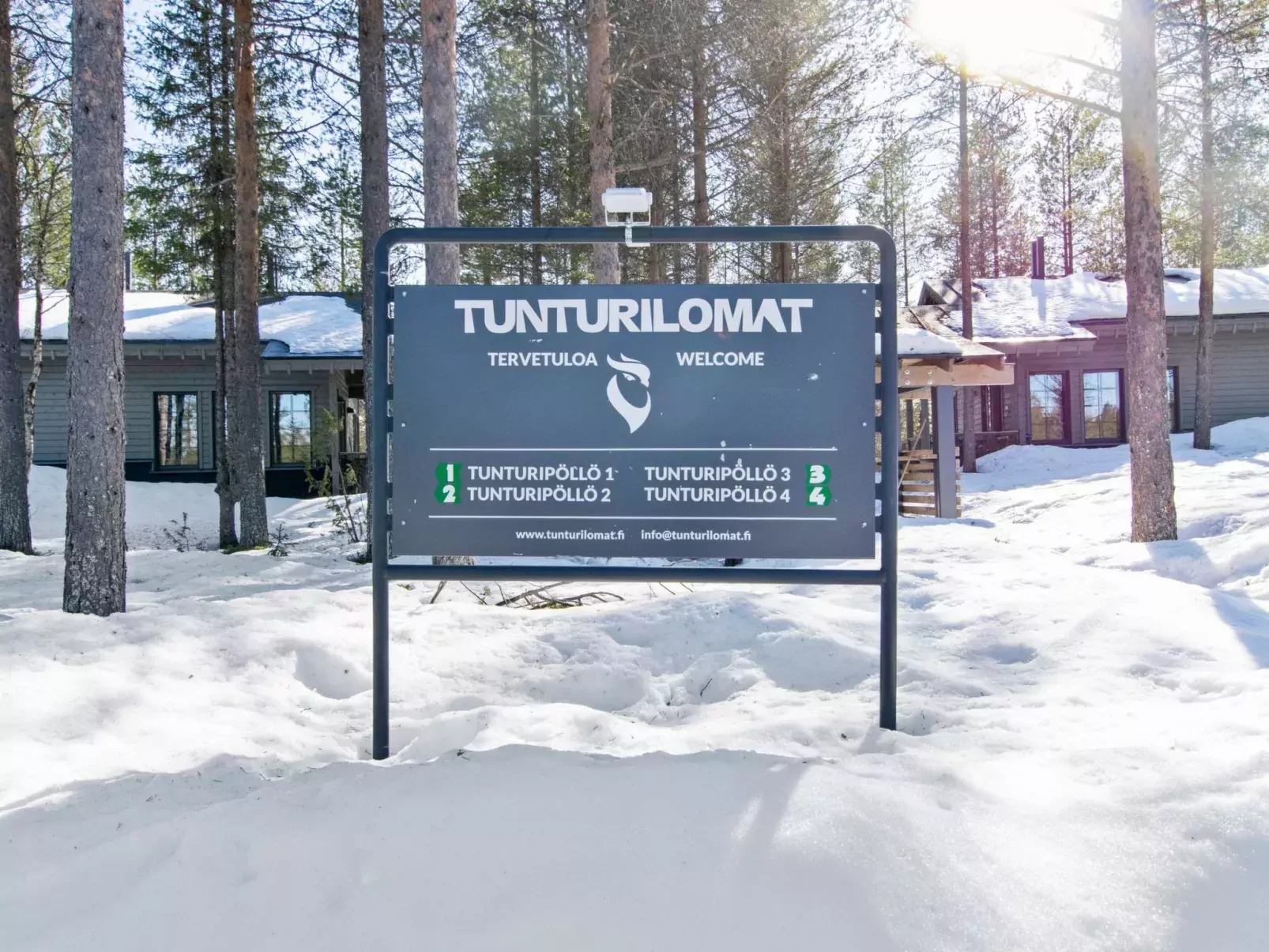 Tunturipöllö 4-Outside