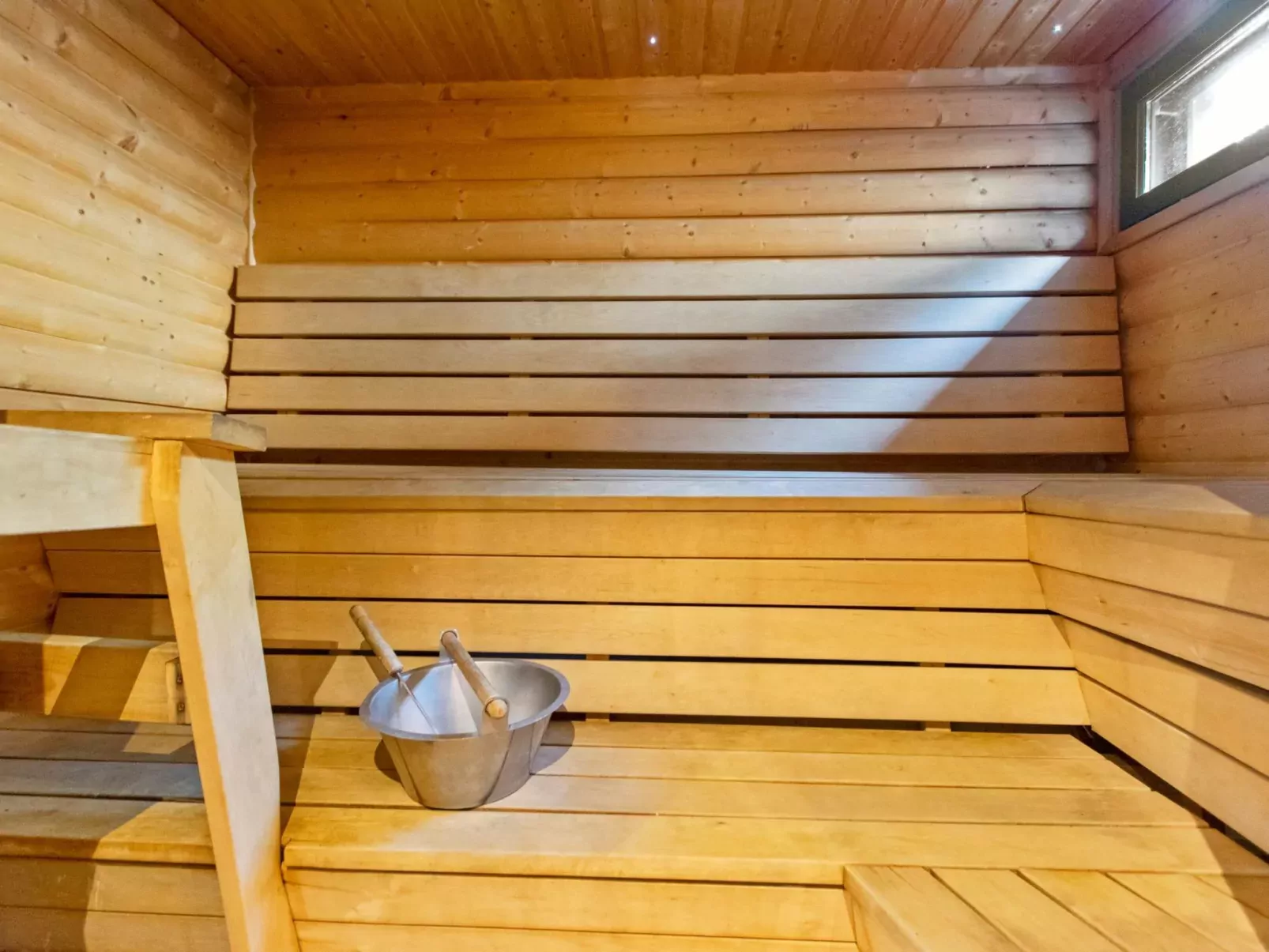 Tunturipöllö 4-Inside