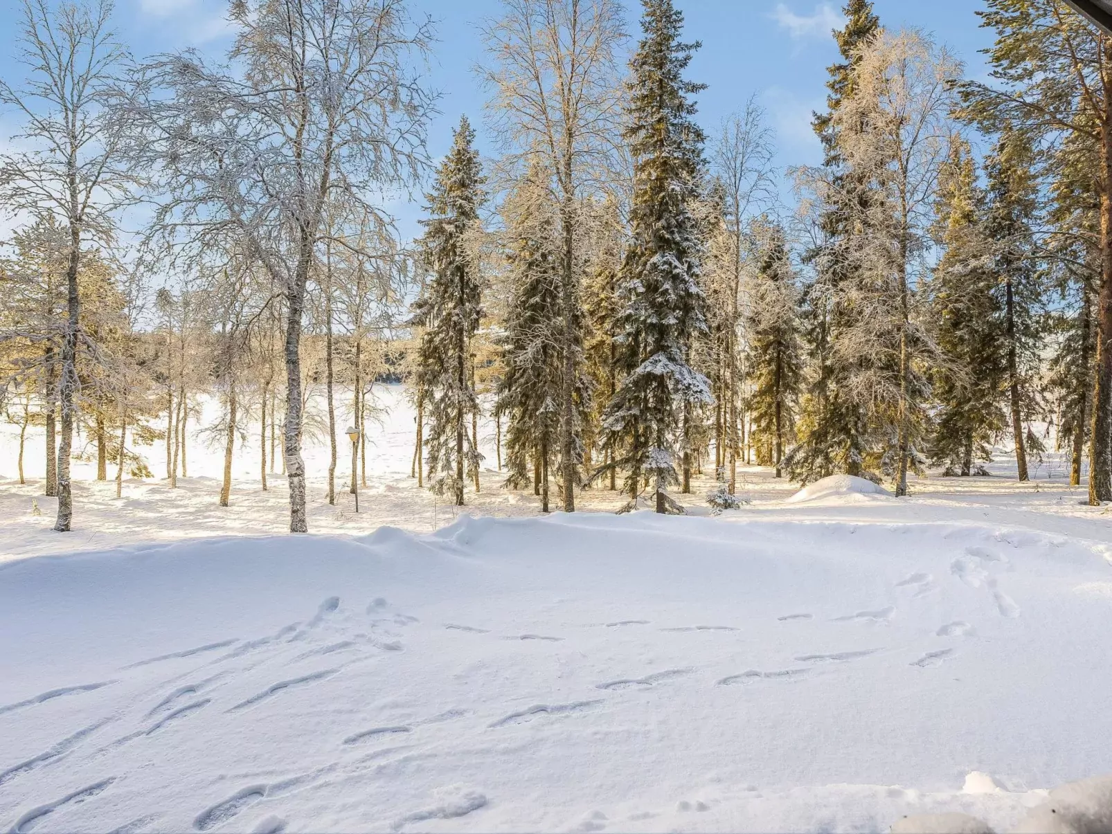 Kuontijärvi b-Draußen