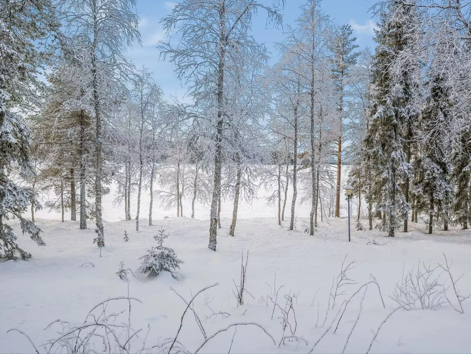 Kuontijärvi b-Draußen