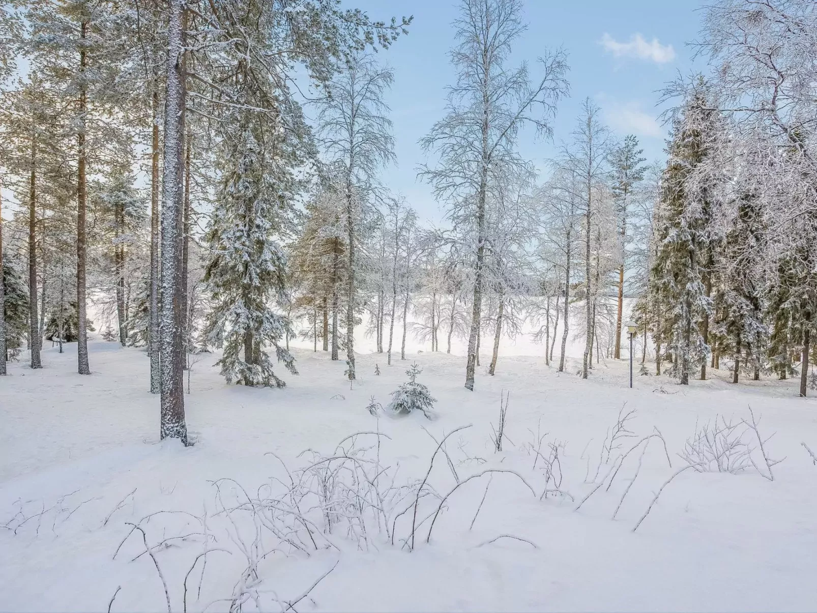 Kuontijärvi a-Draußen