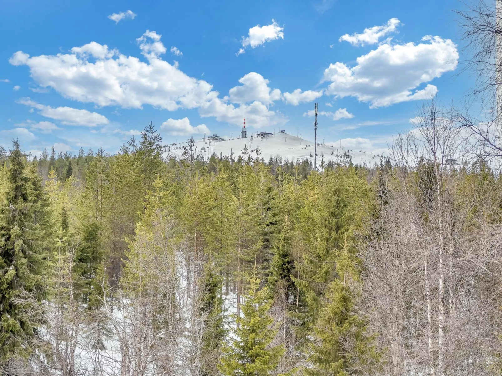 Saaruan aurinko-Outside