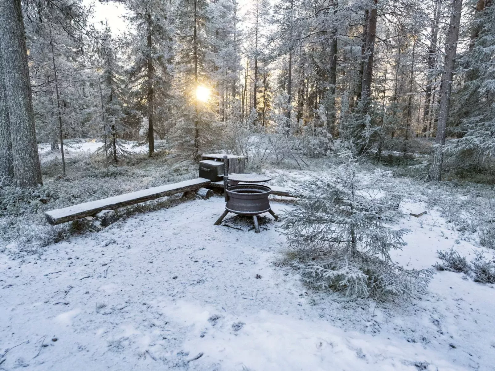 Pohjaskoti b-Drinnen