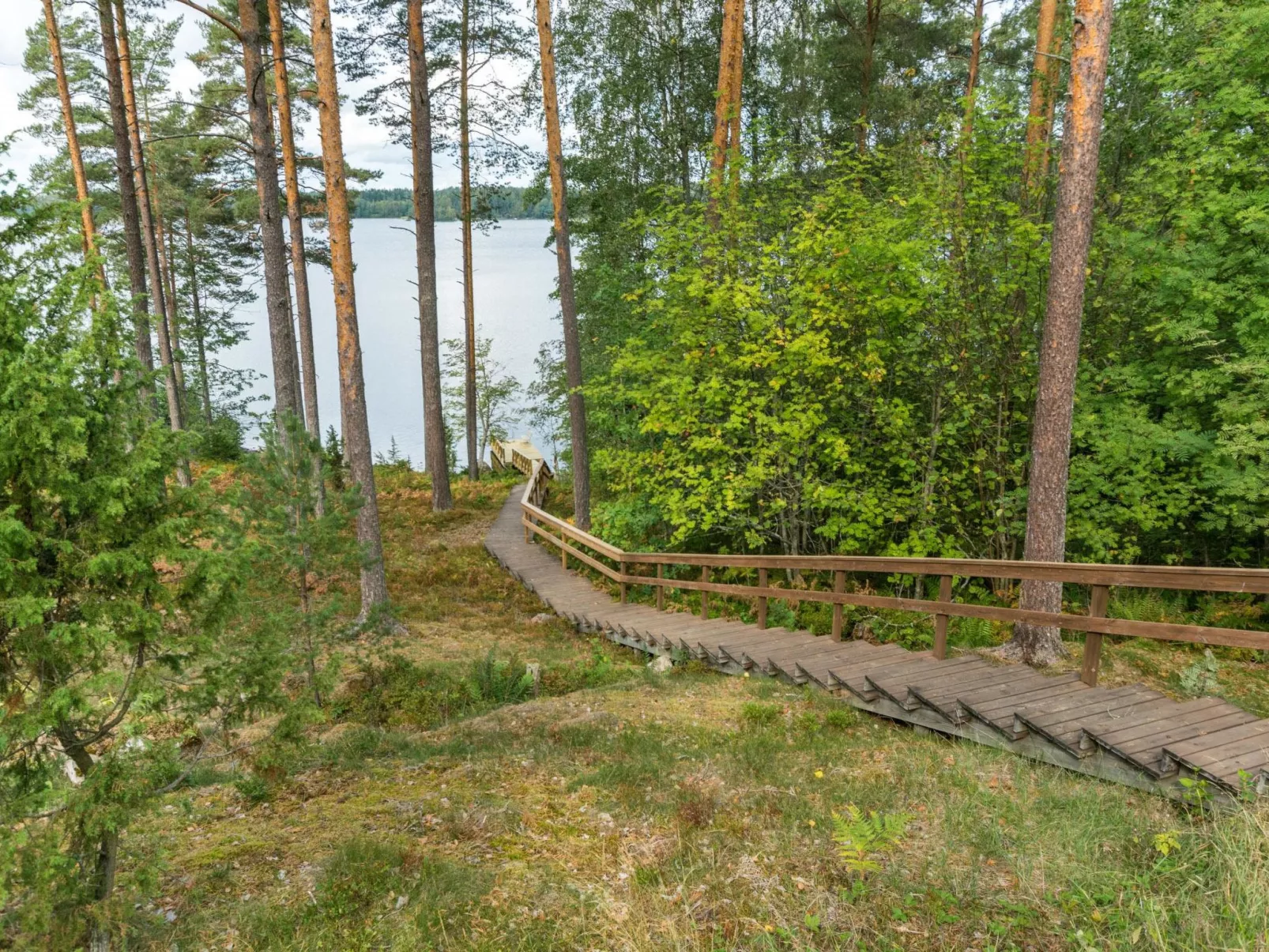 Metsä-iivari-Draußen