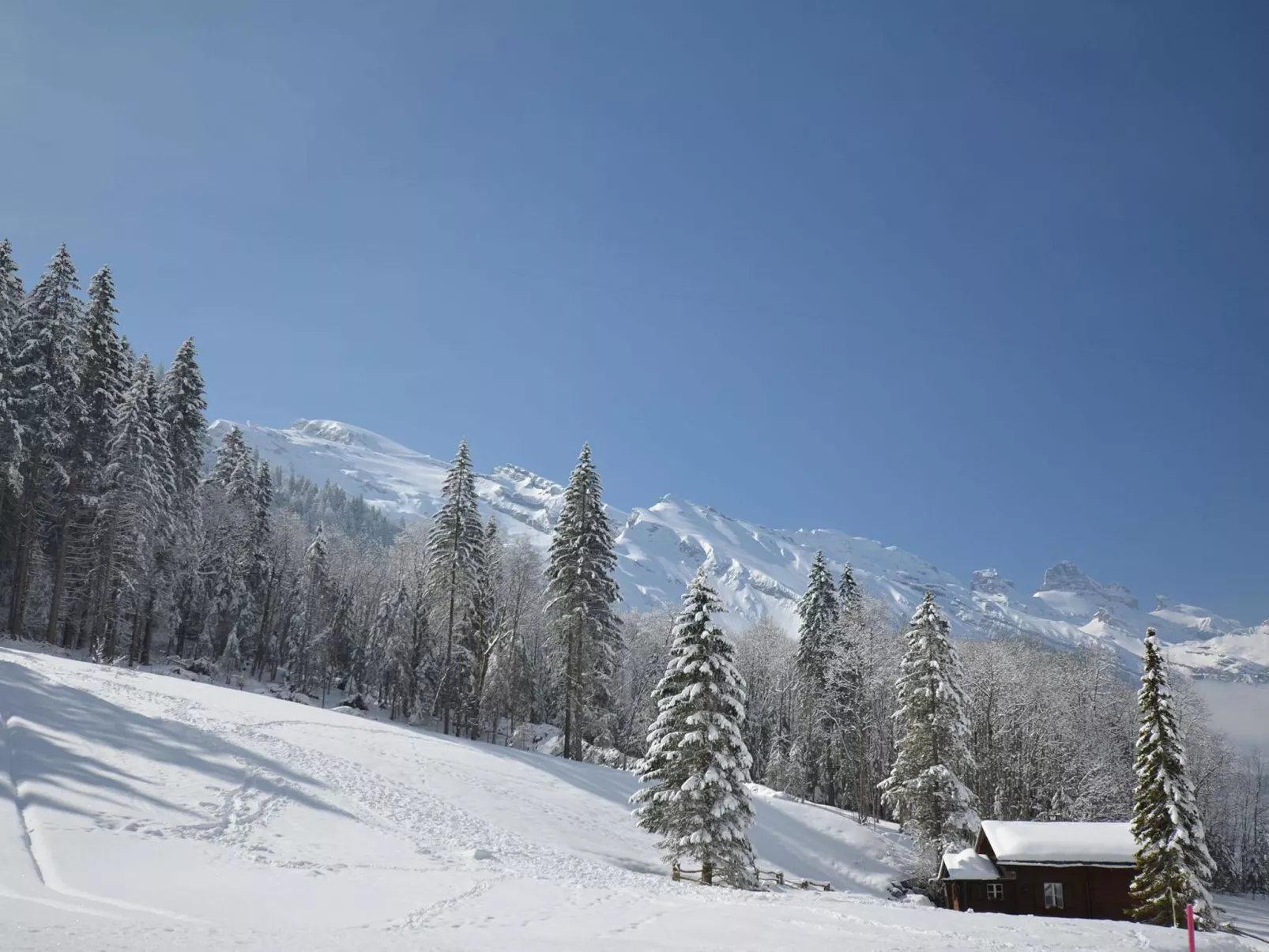 Chalet Heureka-Horbis-Outside