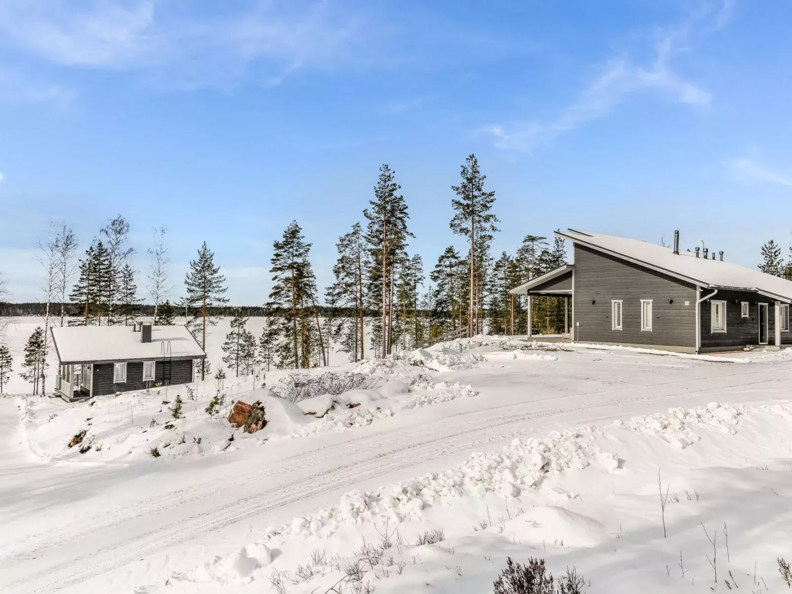Villa saunaniemi i-Drinnen