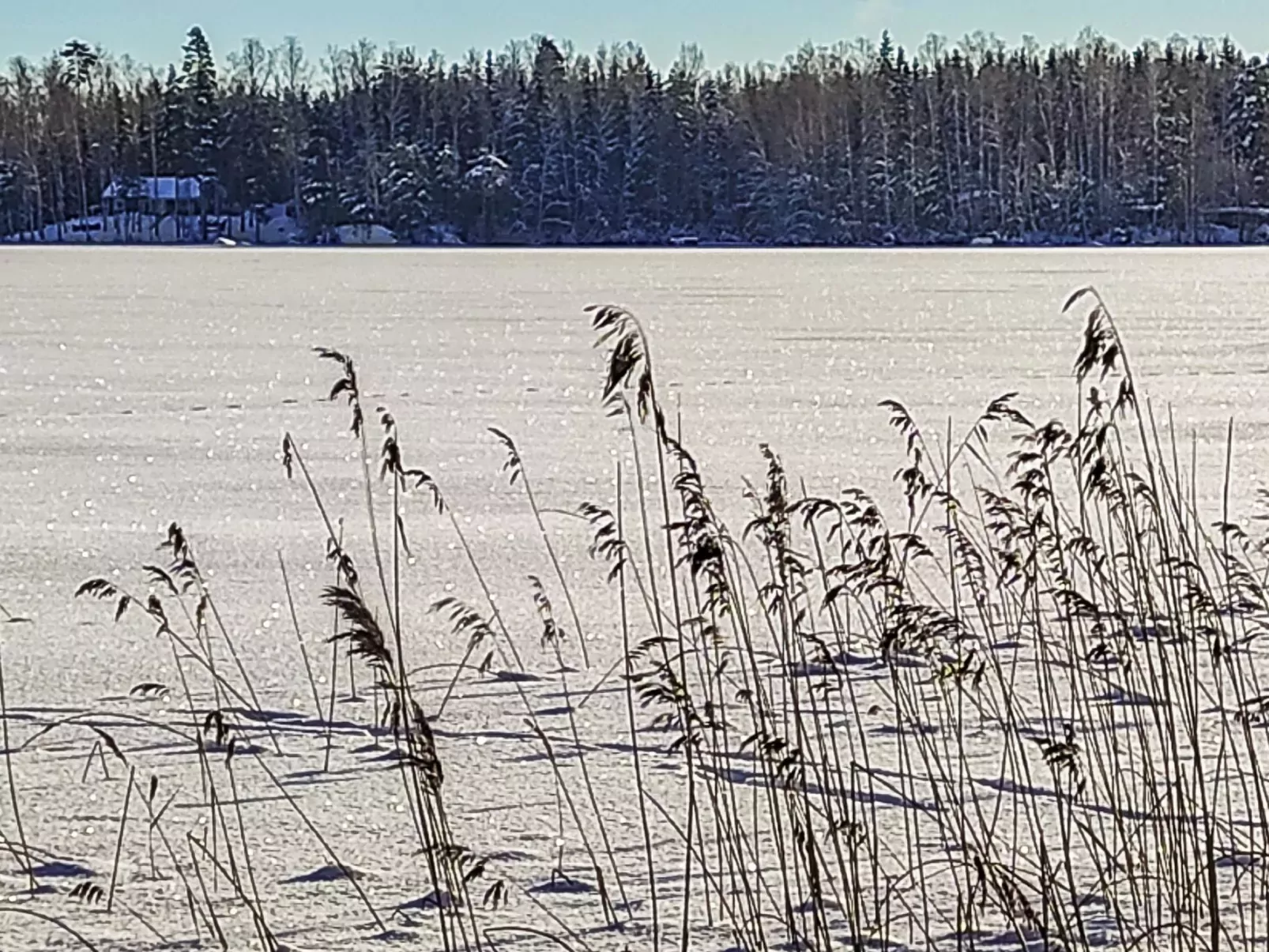 Annelinniemi-Outside