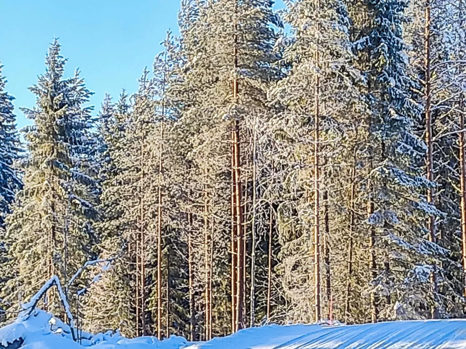 Annelinniemi-Outside