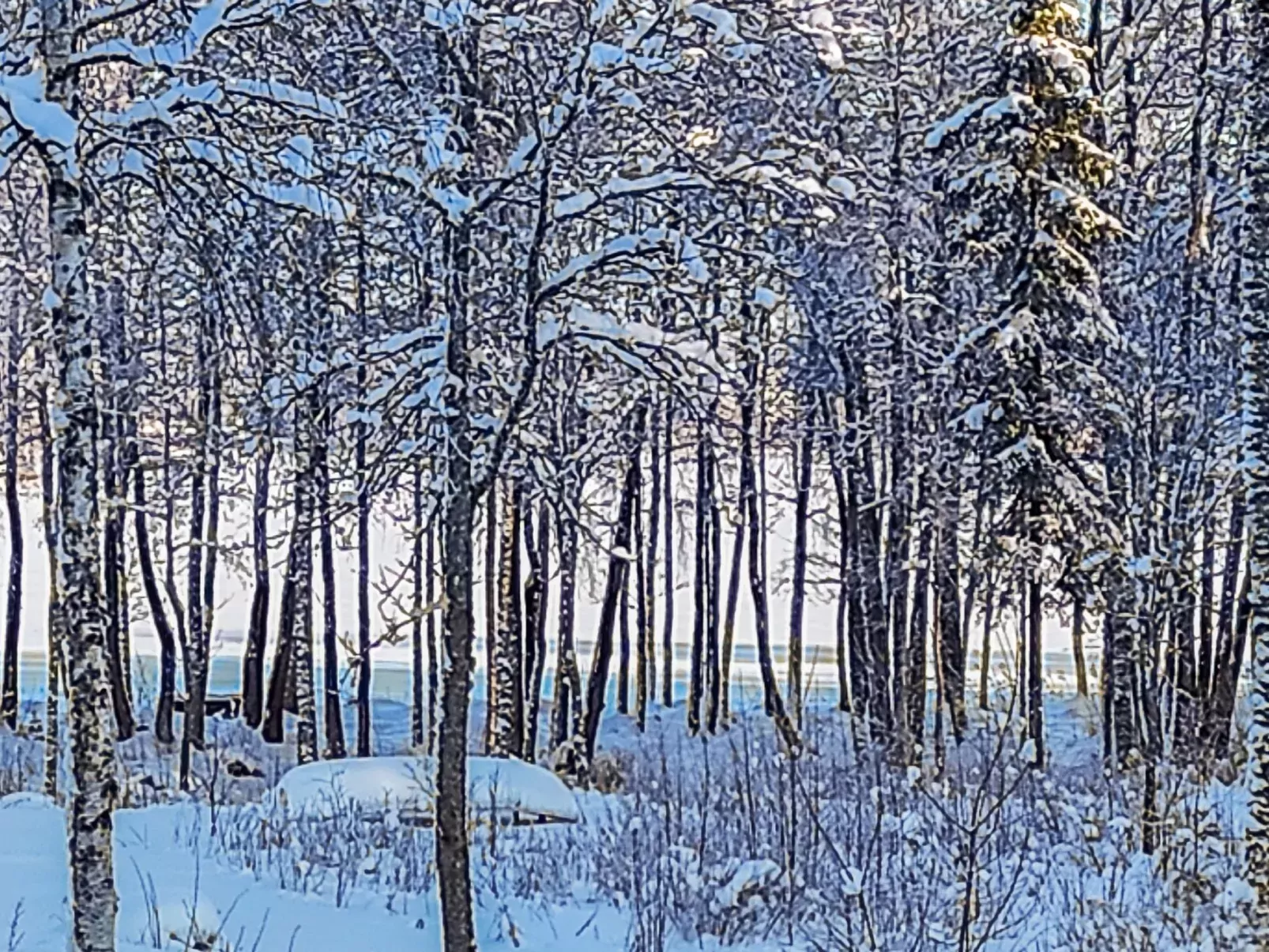 Annelinniemi-Outside