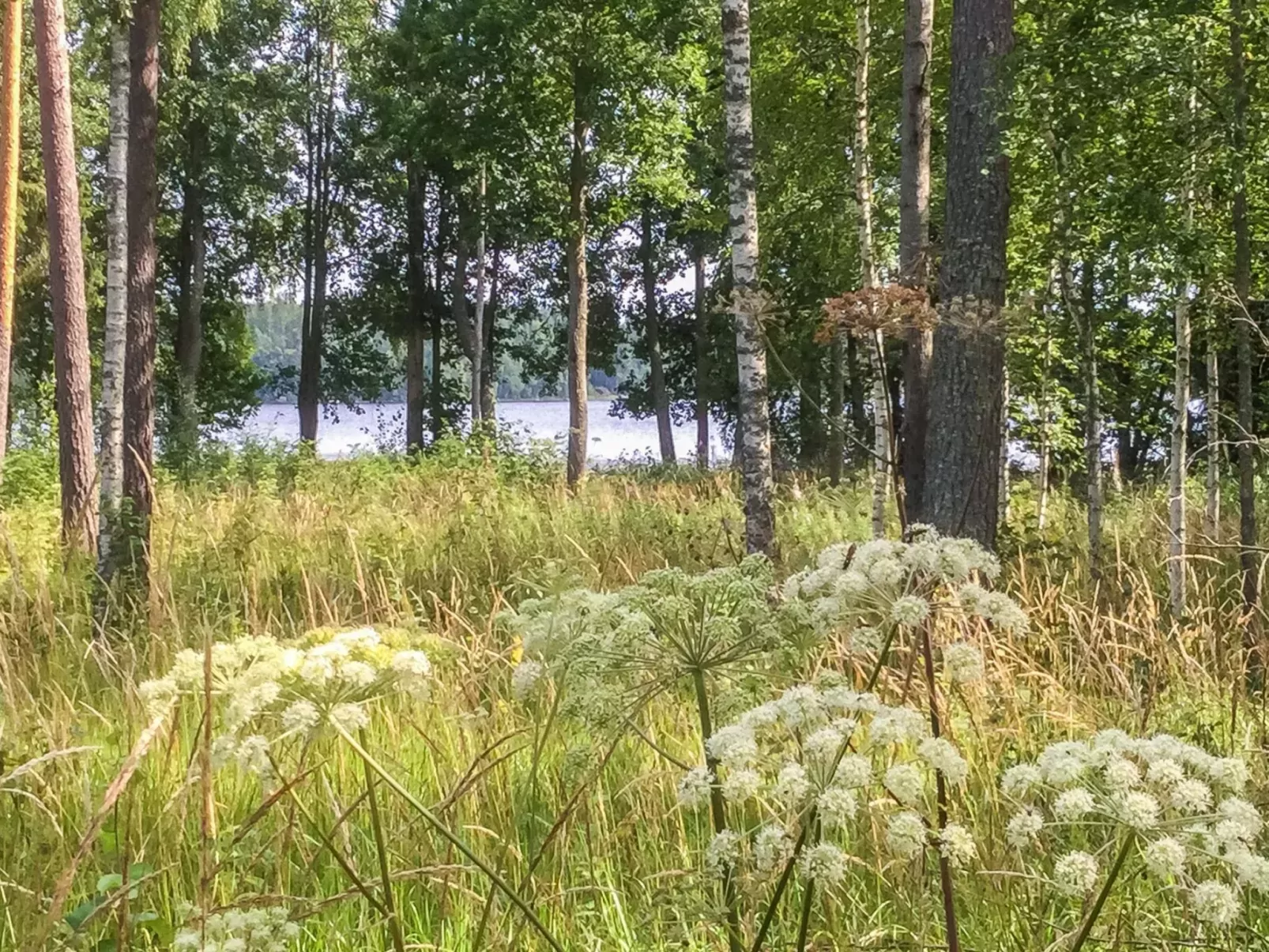 Annelinniemi-Outside